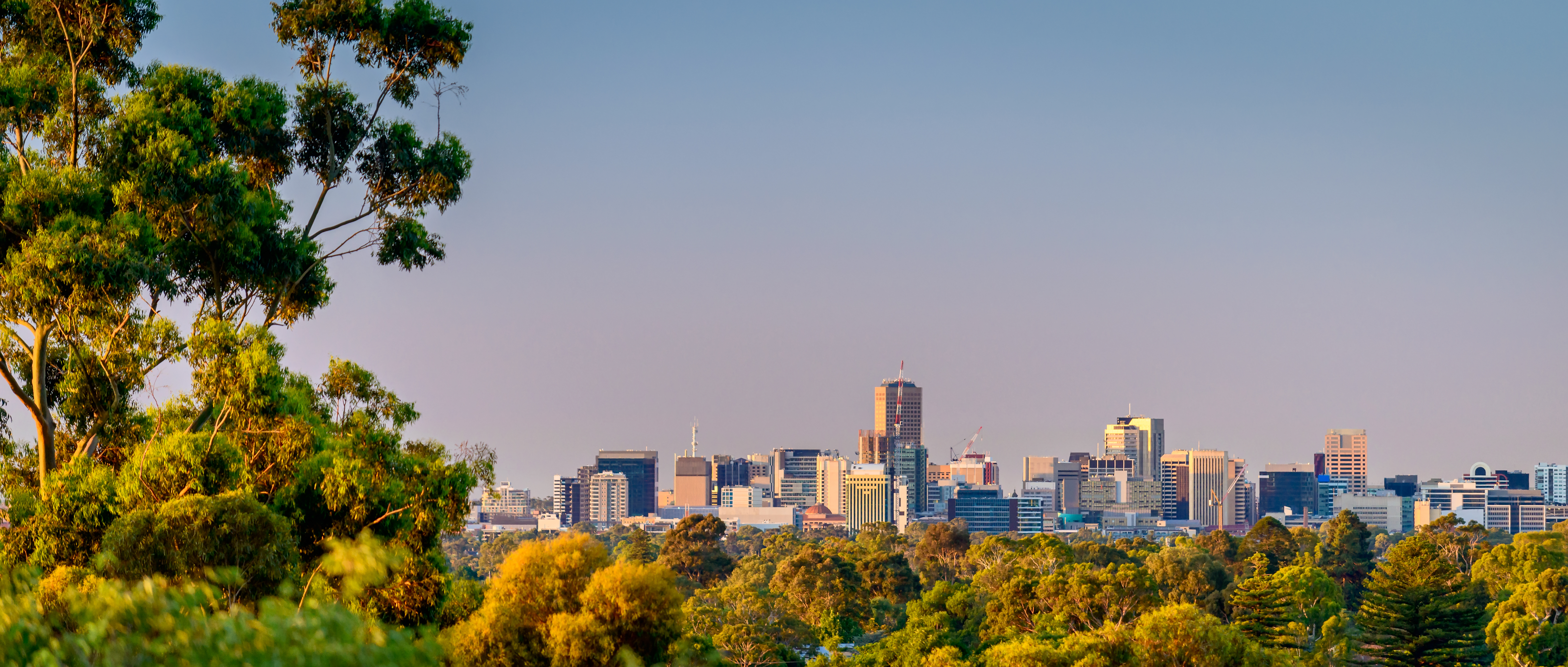 Adelaide byskyline med træer og moderne bygninger i Australien
