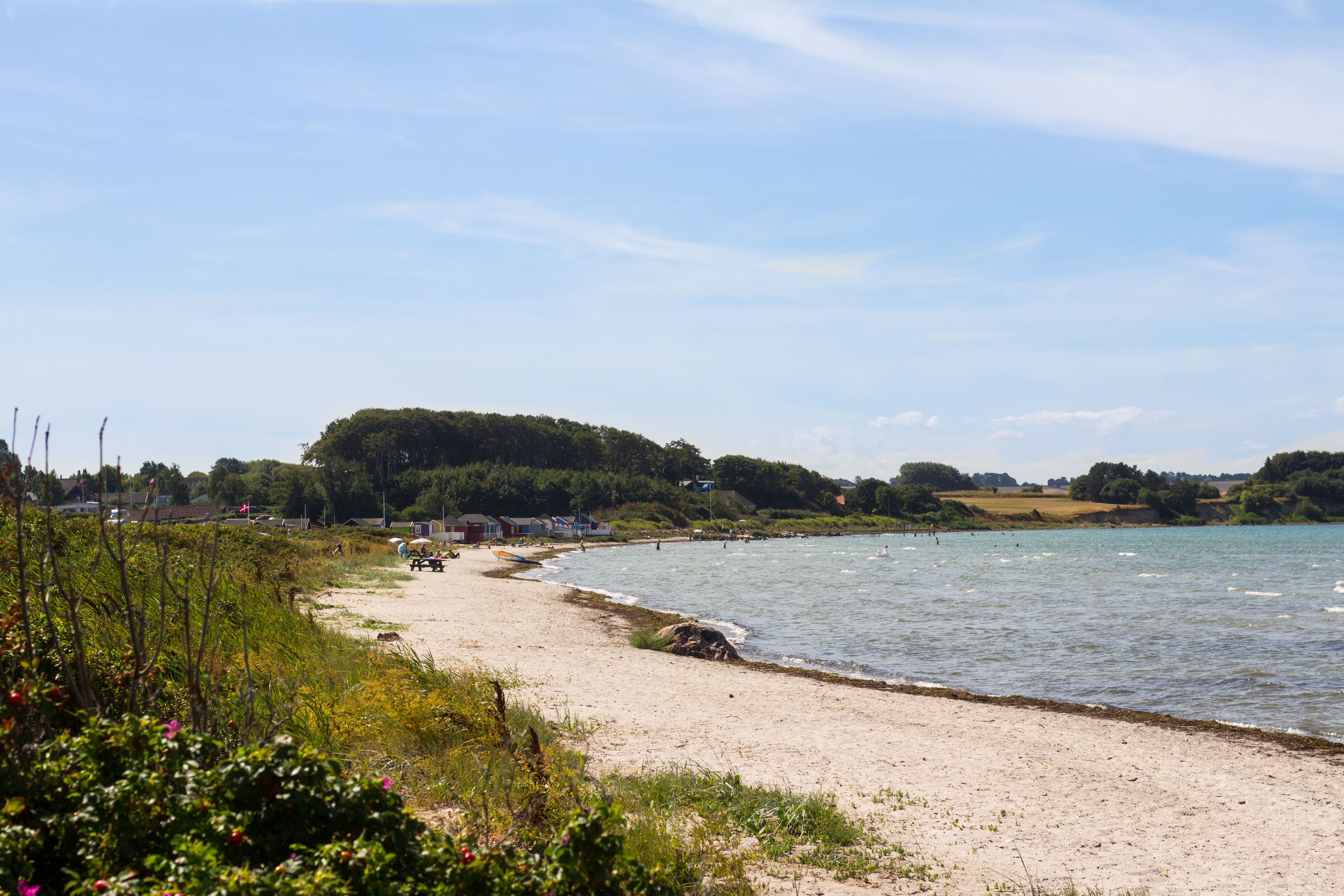 Naturskøn strand på Ærø med bølgende hav, sandkyst og grønne træer på en smuk sommerdag i Danmark