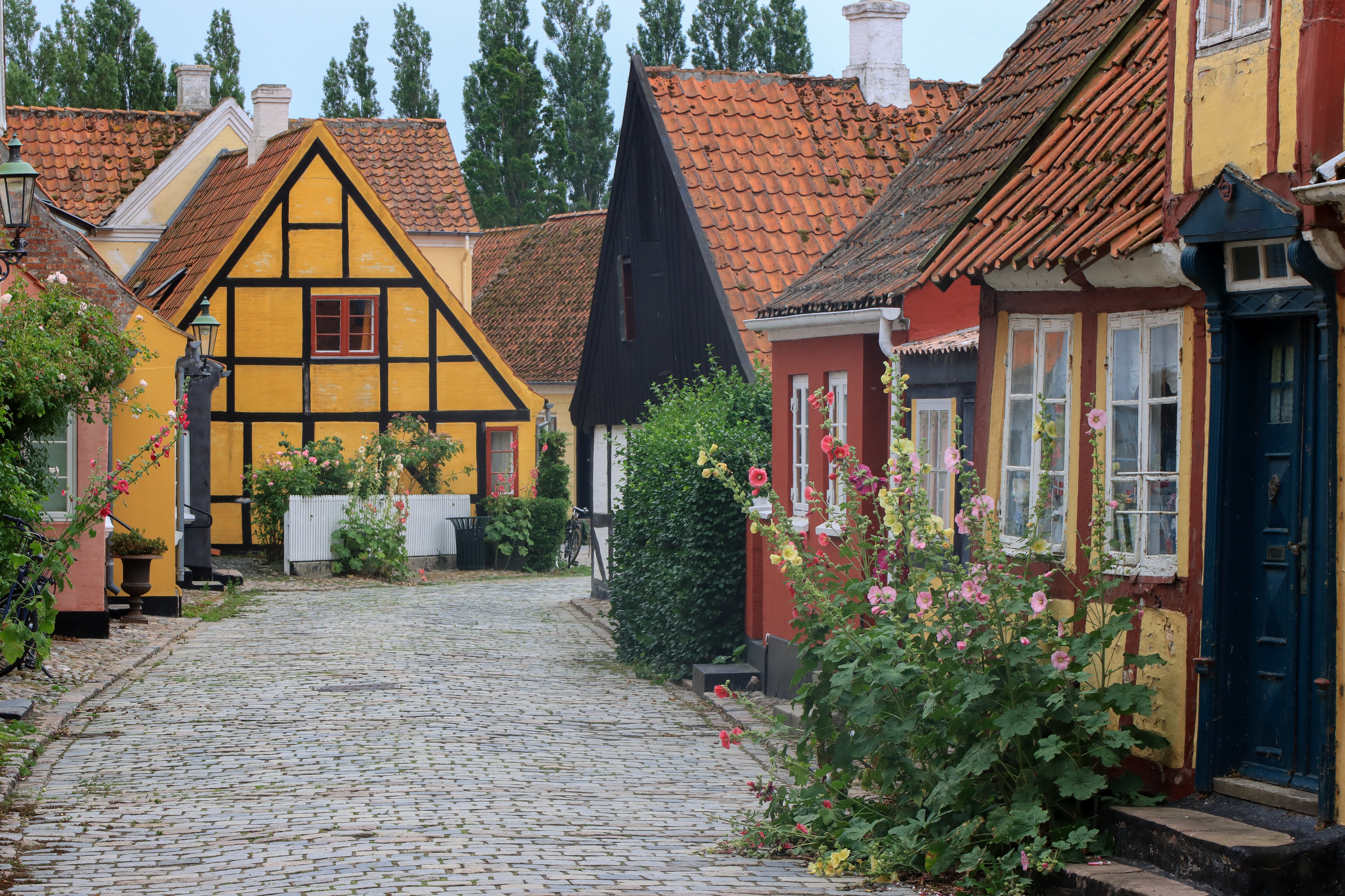 Idyllisk brostensgade med farverige huse i Ærøskøbing Danmark