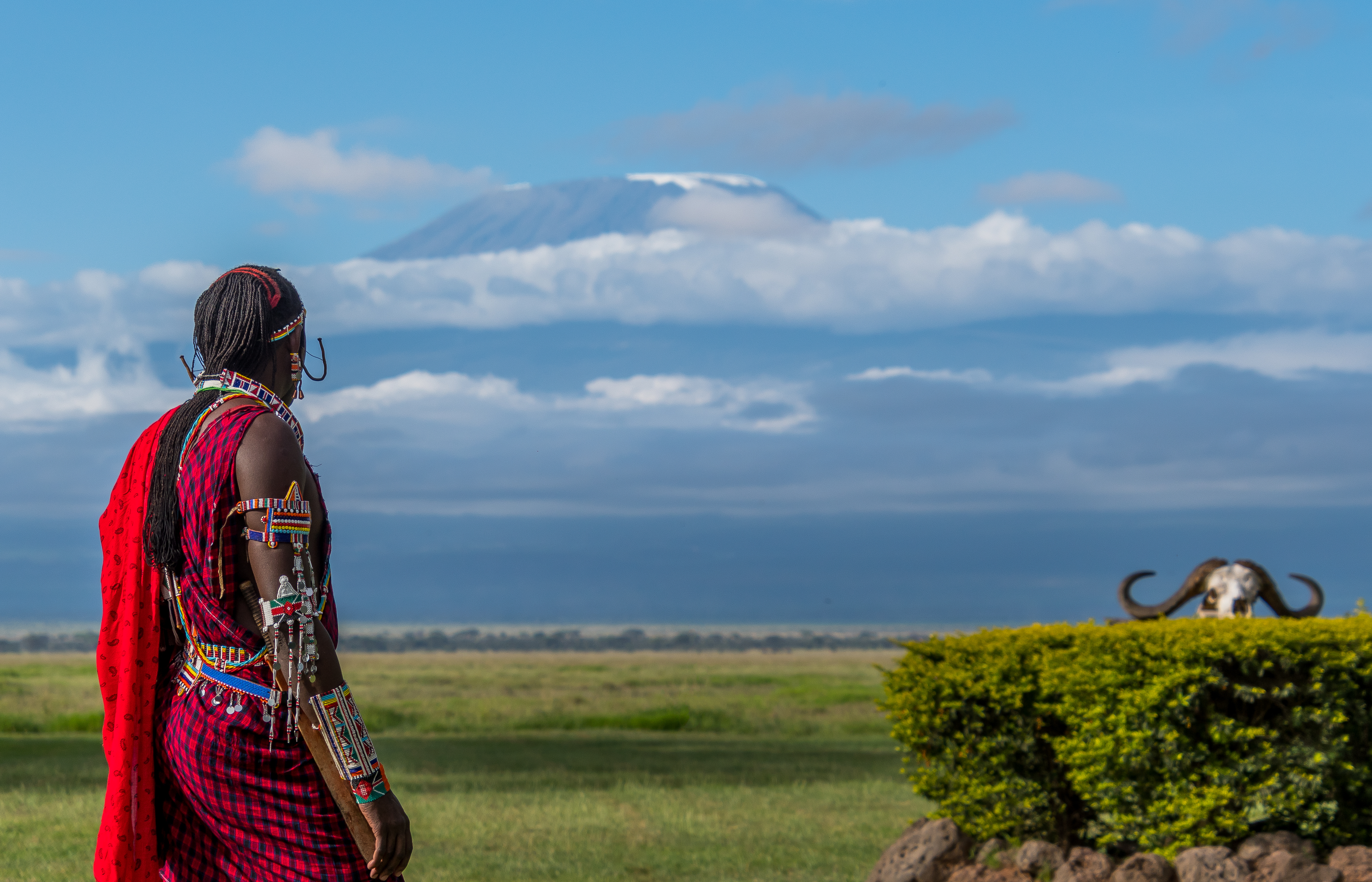 Masai stammemedlem i traditionel påklædning foran Kilimanjaro i Afrika