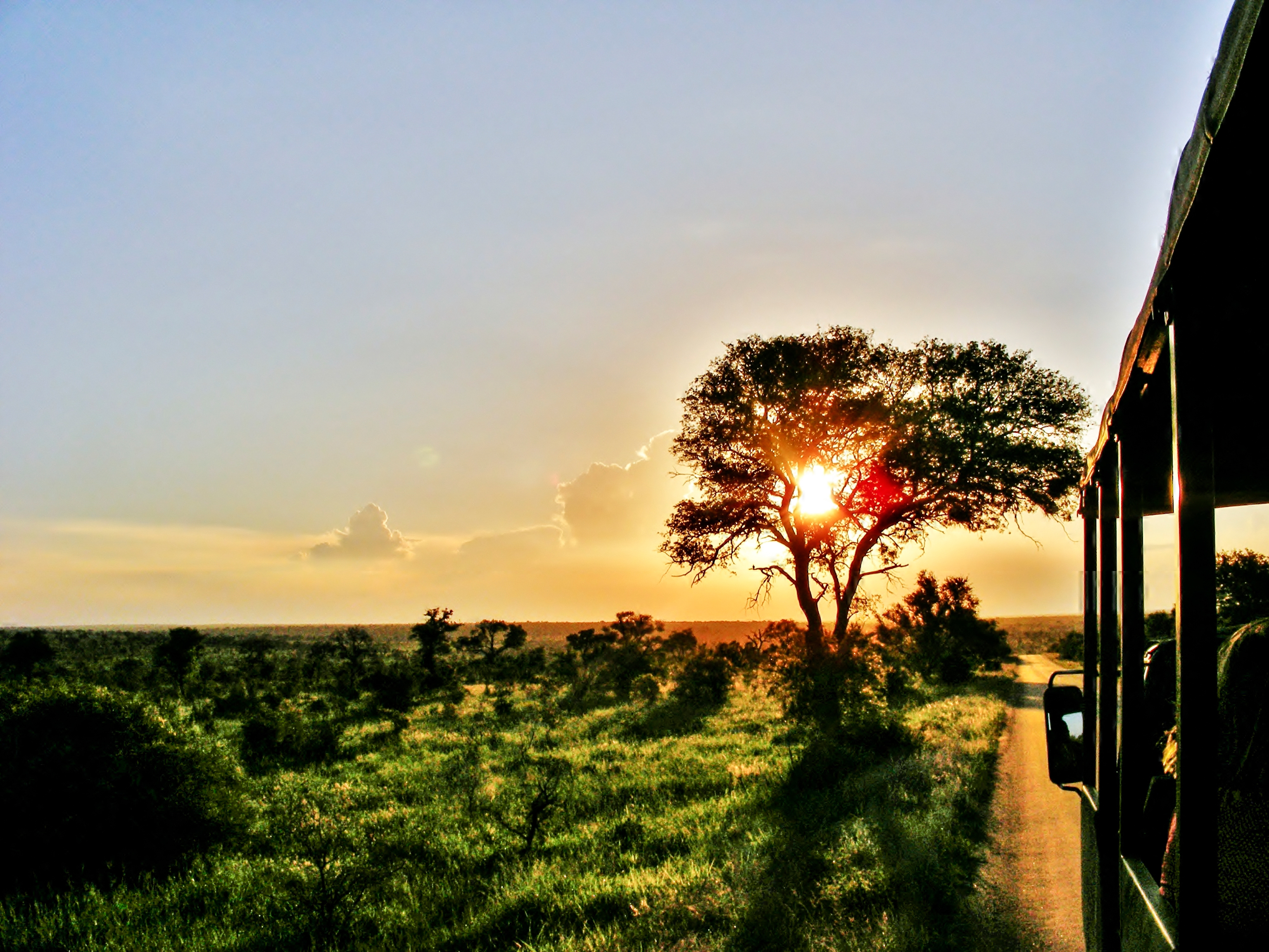 Dramatisk solnedgang med intense farver over den afrikanske savanne, indfanget under en game drive i den sydafrikanske vildmark