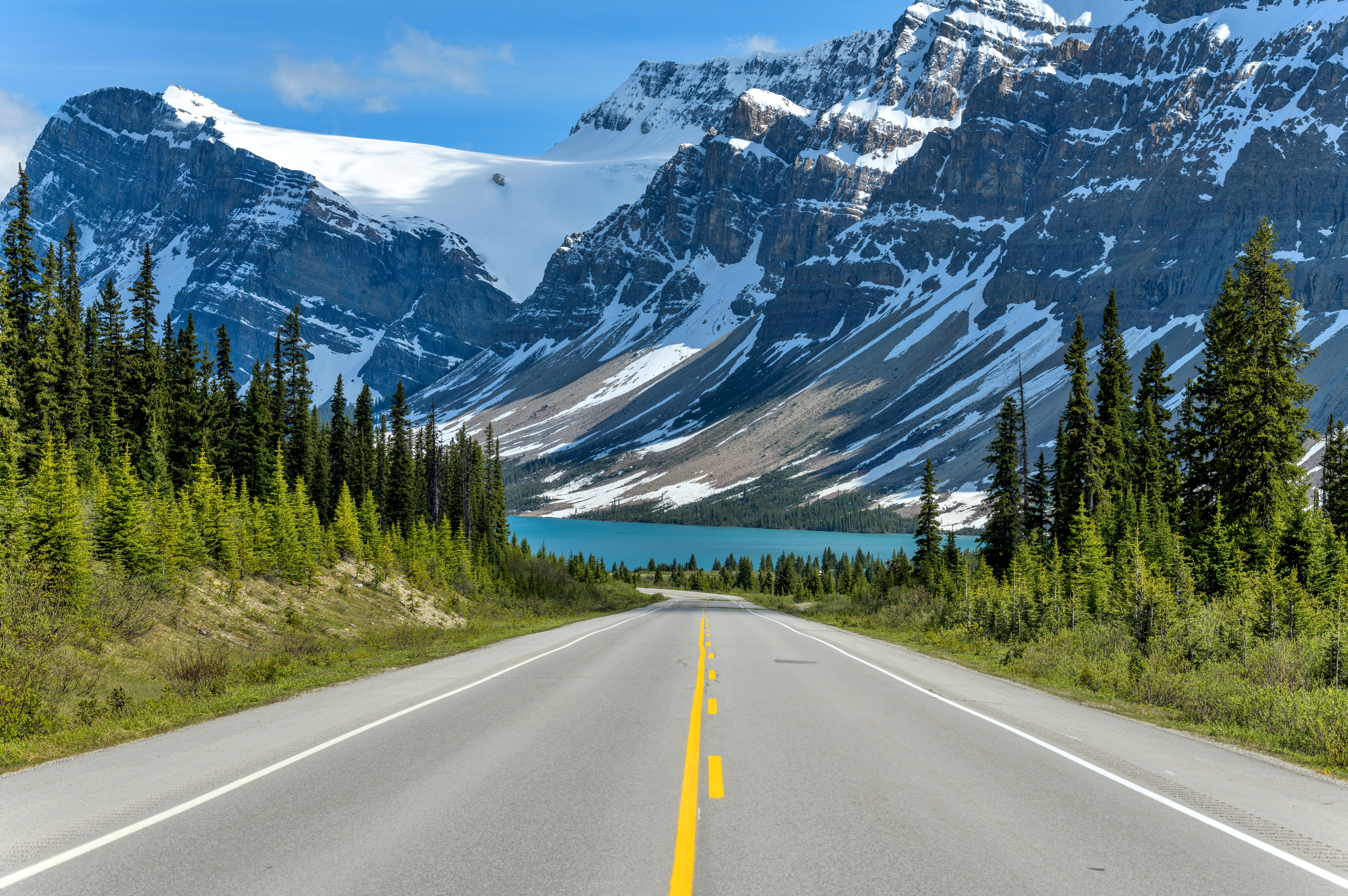 Scenisk bjergvej i Alberta, Canada omgivet af gletsjerbjerge og natur