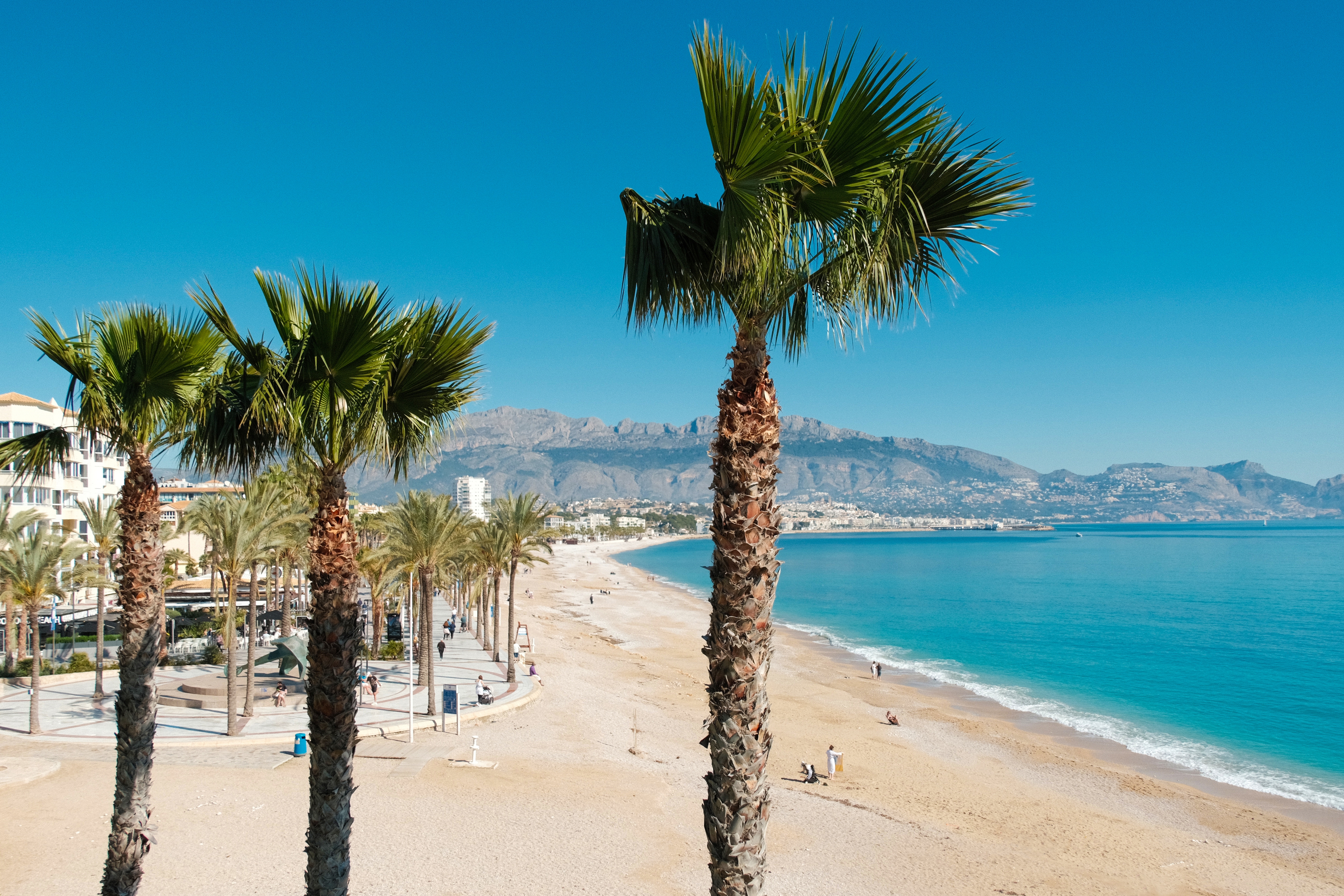 Idyllisk strandliv i Albir med svajeende palmtræer langs den brede sandstrand og turkist Middelhav ved Alicante-provinsen i Spanien