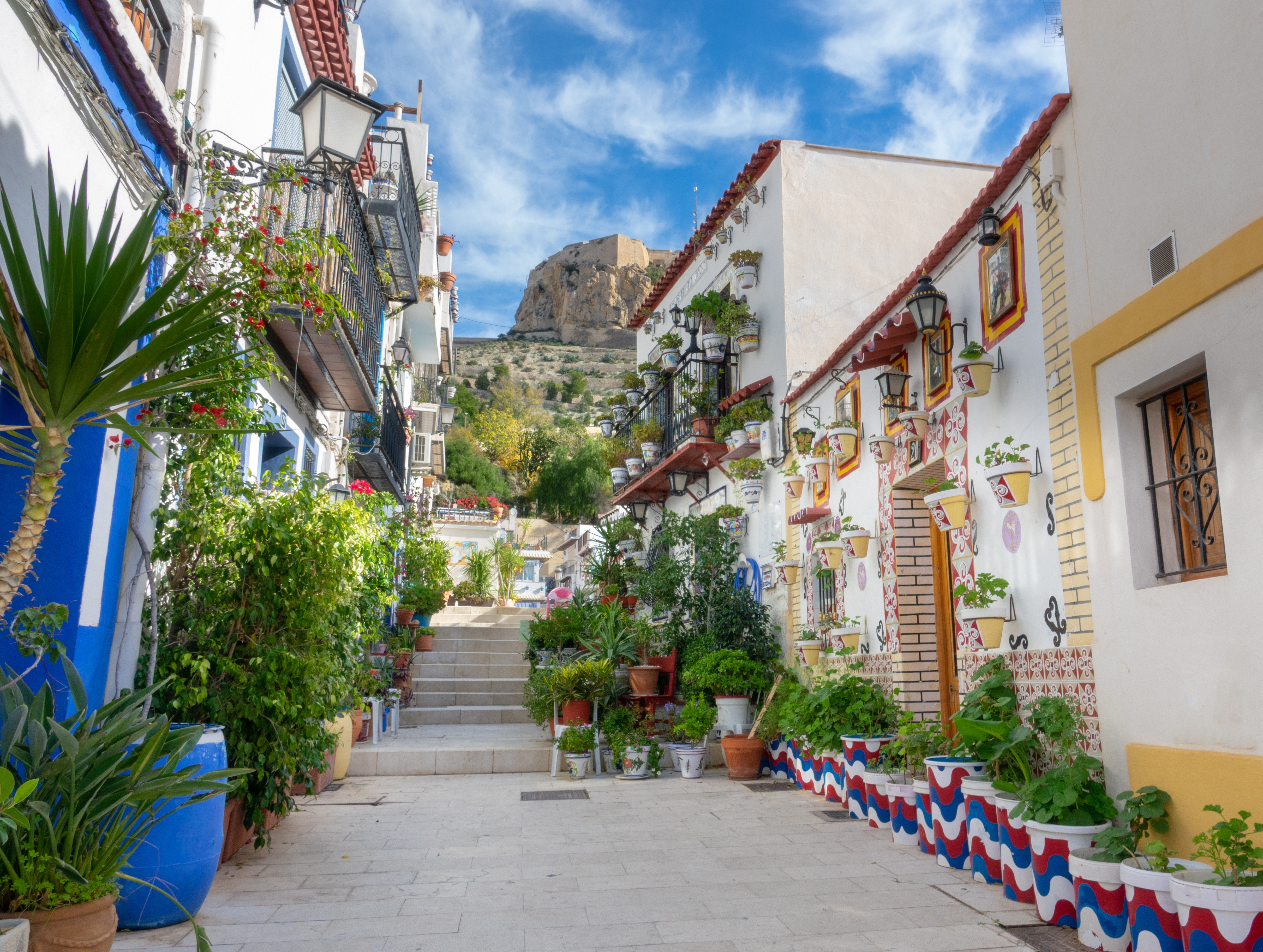 Hyggelig middelhavsgade i Alicante med farverige blomsterpotter langs hvidkalkede huse og trappe op til borgen