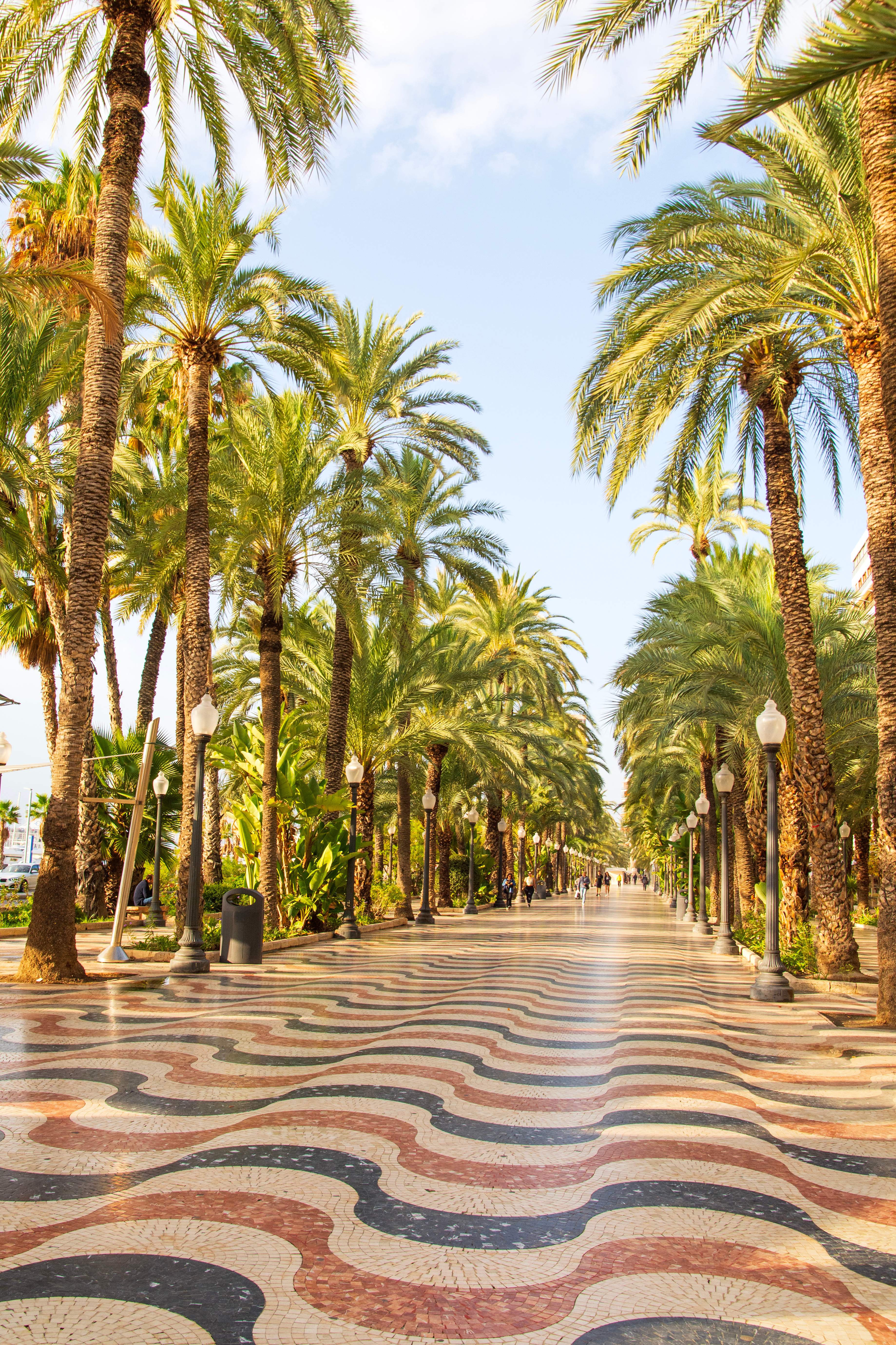 Den berømte Explanada de España i Alicante, Spanien, med flotte palmtræer og farvestrålende bølgeformet mosaikbelægning – perfekt til en afslappende gåtur i solen
