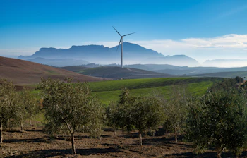 Grønne bakkede marker med oliventræer og vindmølle i det naturskønne Alora, Andalusien