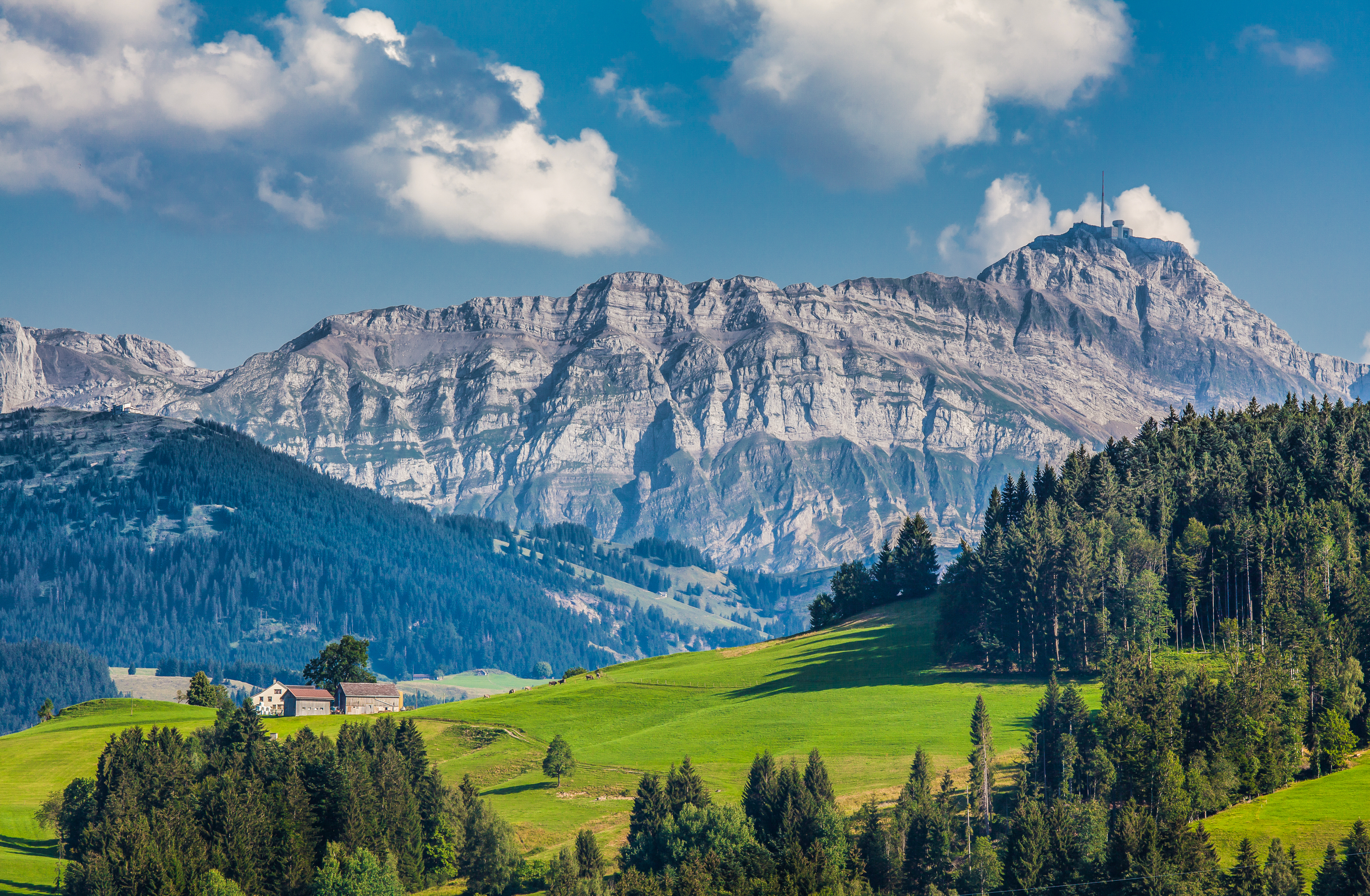 Storslået panoramaudsigt over det schweiziske alpelandskab i Appenzellerland med grønne enge, skovklædte bakker og det ikoniske Säntis-bjerg på en solrig sommerdag