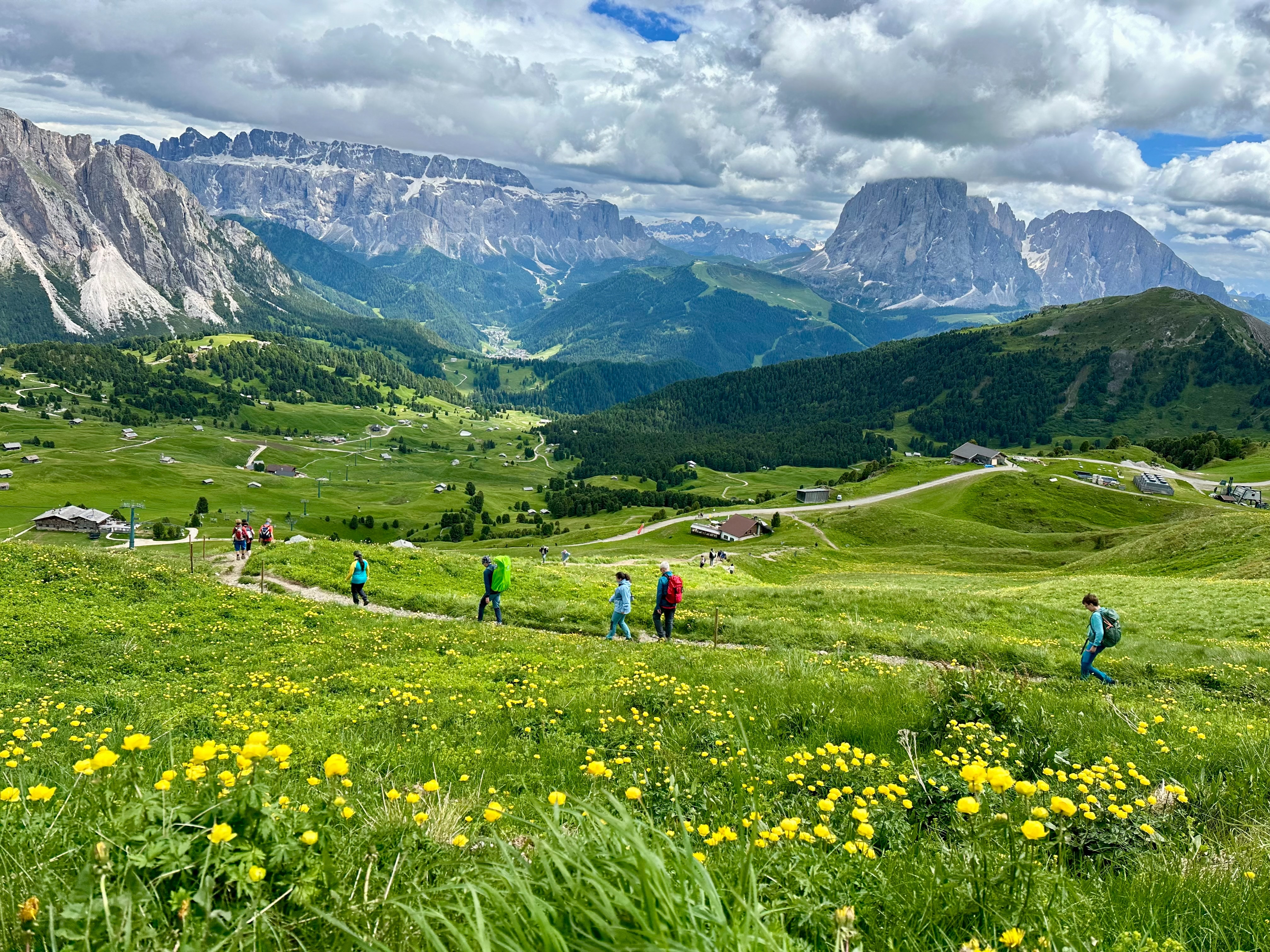 Gruppe vandrere på sommertur gennem alpine enge med majestætiske Dolomit-bjerge som baggrund
