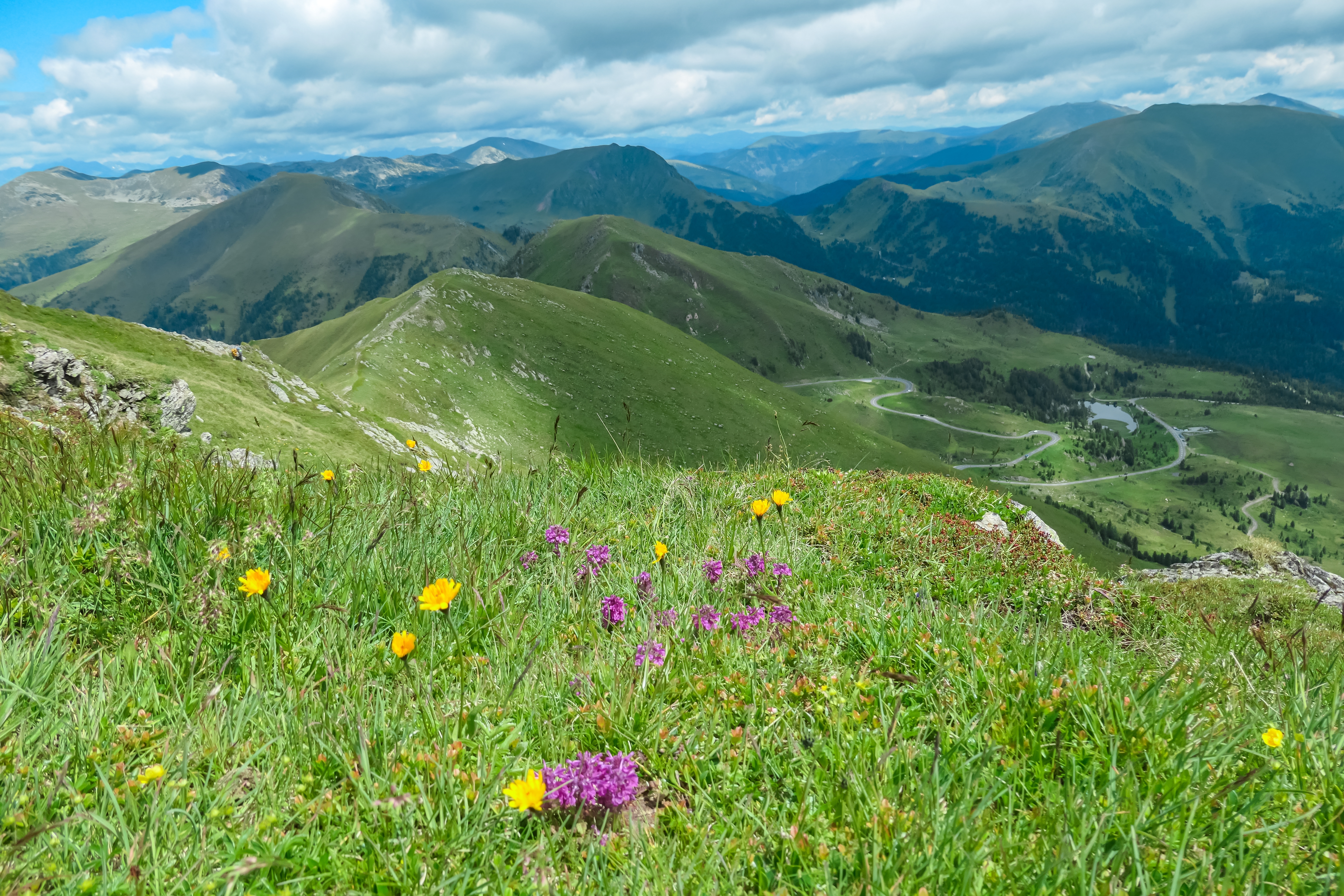 Alpin natur med blomstrende enge og panoramaudsigt over bjerglandskab
