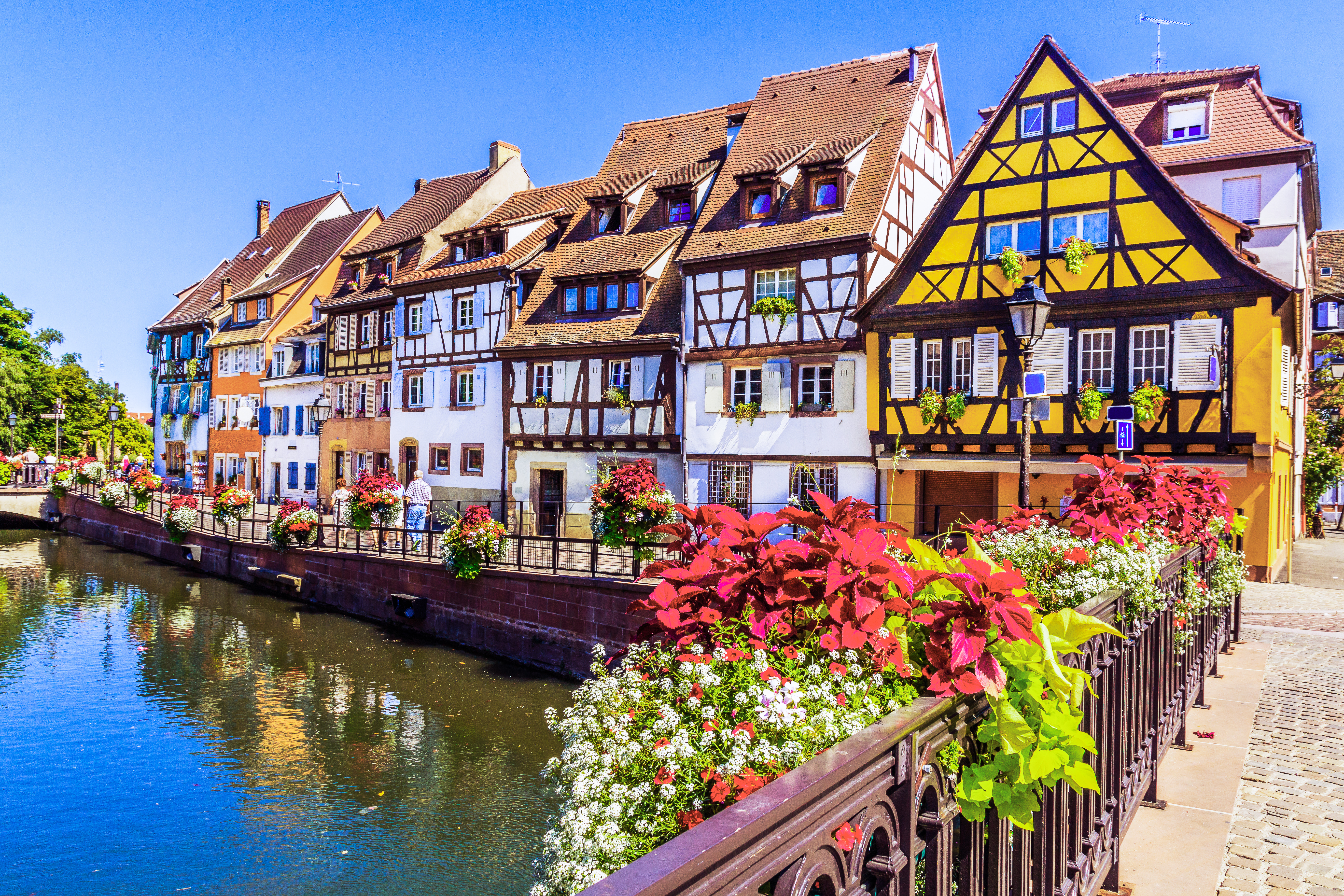 Charmerende alsaciske huse med farverige facader langs kanal i Colmar
