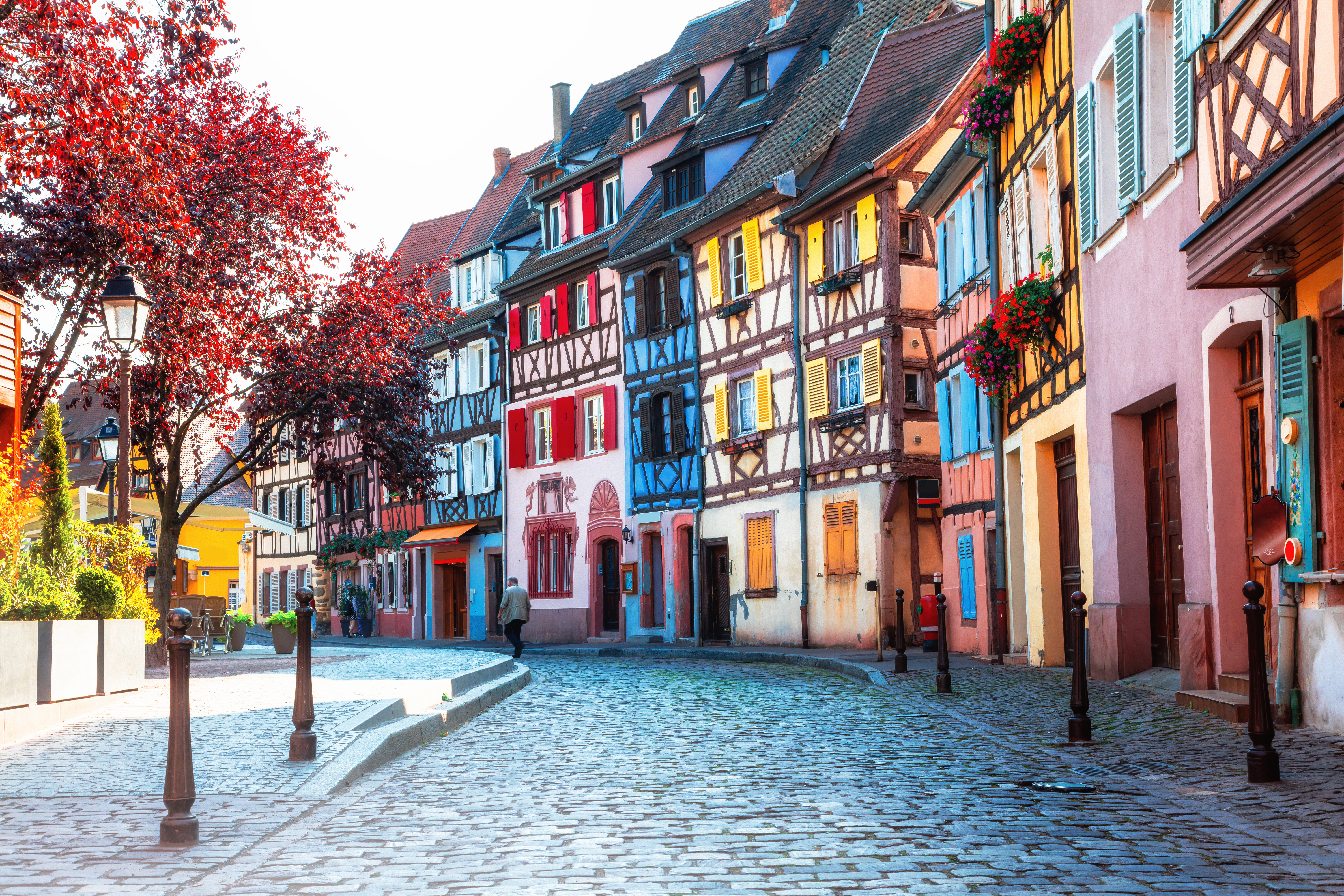 Betagende vue over de traditionelle farverige bindingsværksbygninger langs den idylliske kanal i middelalderbyen Colmar i Alsace, et af Frankrigs mest fotogene steder