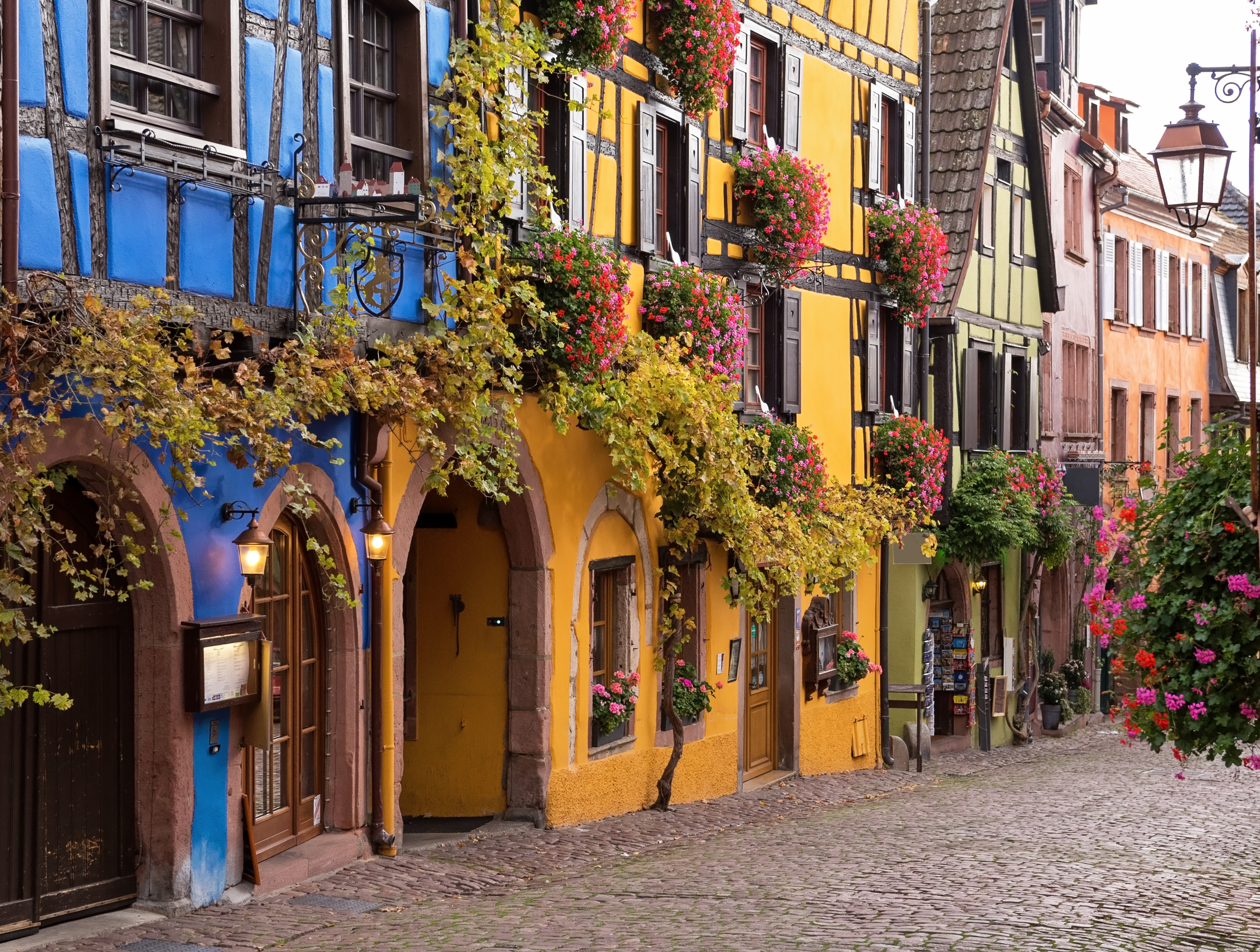 Alsace vinlandsby Riquewihr med traditionelle bindingsværkshuse og blomsterkasser