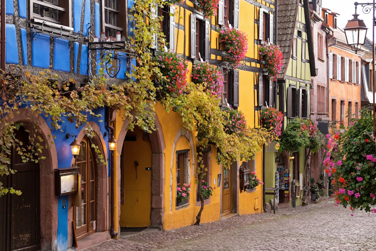 Alsace vinlandsby Riquewihr med traditionelle bindingsværkshuse og blomsterkasser