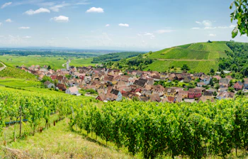 Sommerstemning over en charmerende landsby i Alsace med frodige vinmarker og smukke grønne bakker i Frankrig