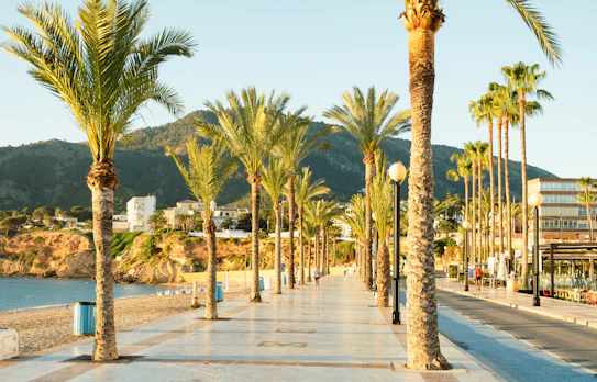 Palmepromenade langs Middelhavet i Altea Costa Blanca