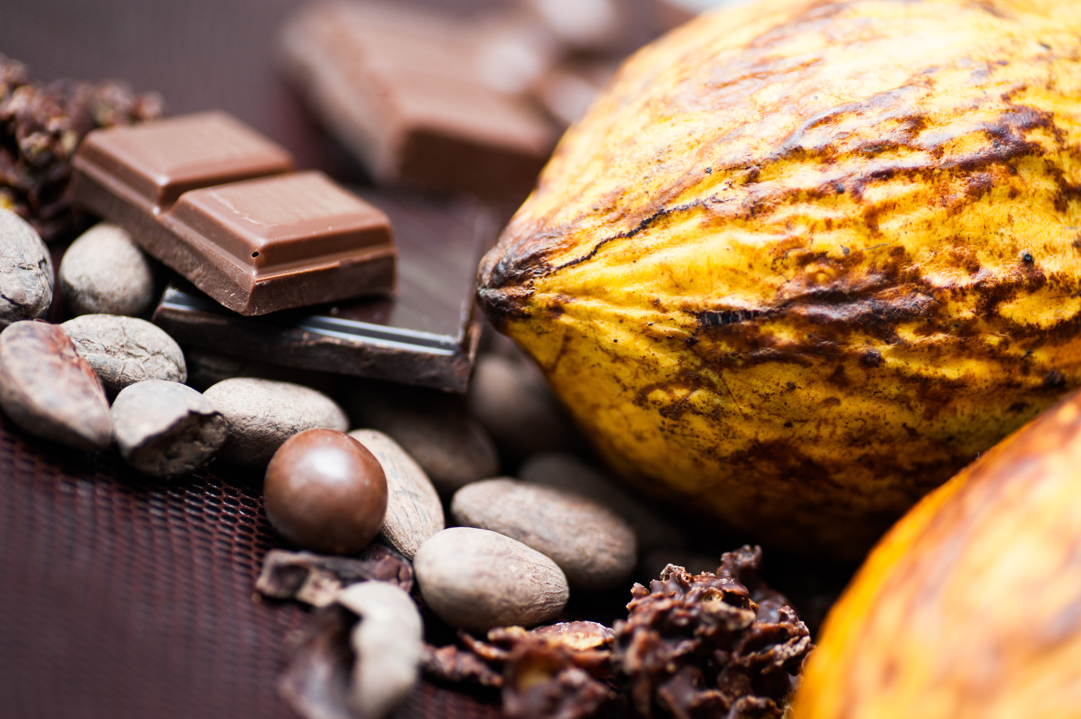 Amazonas kakaofrugt og chokolade fra oprindelig kultur