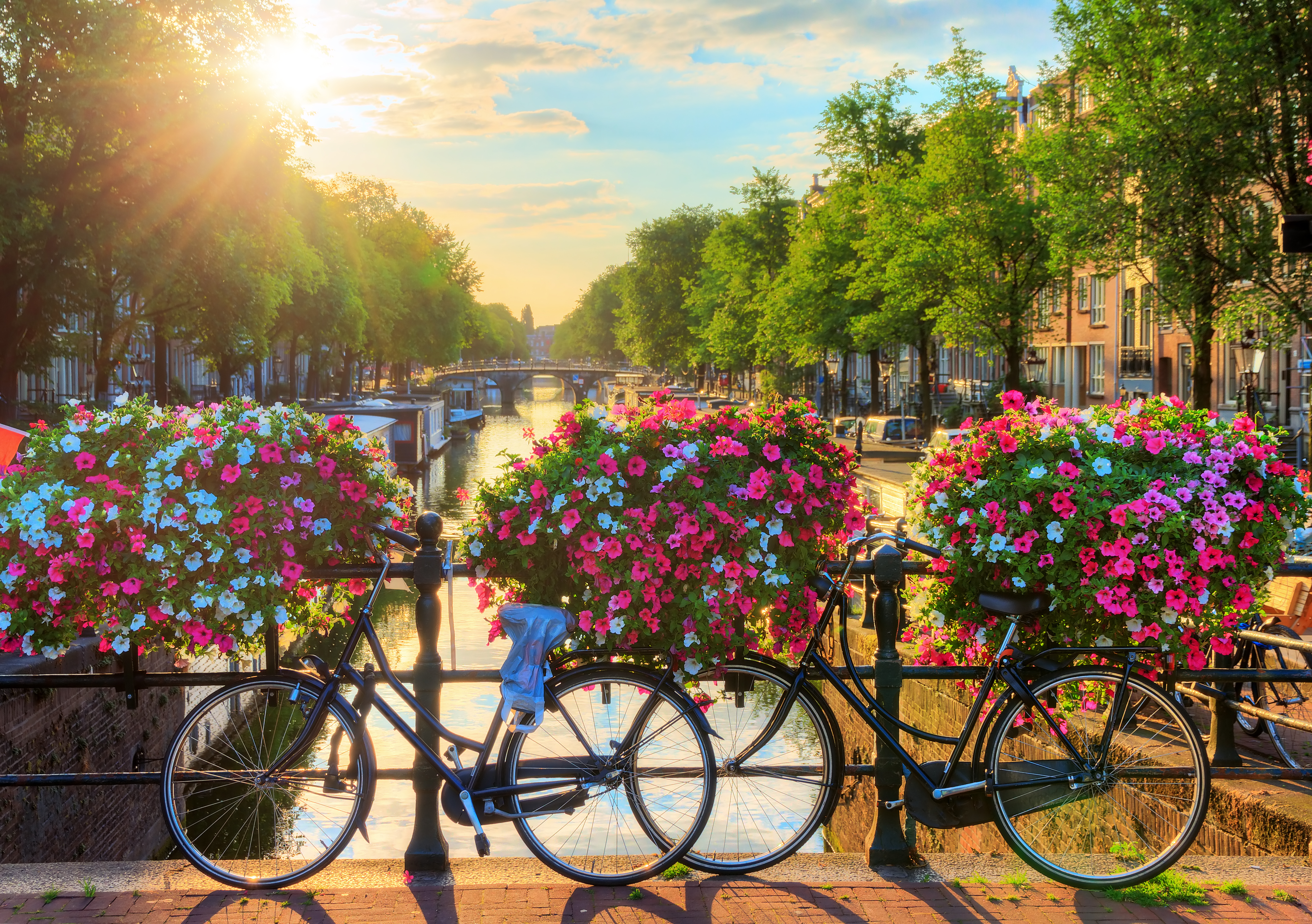 Klassisk Amsterdam scene med cykler og blomsterkurve langs kanalen