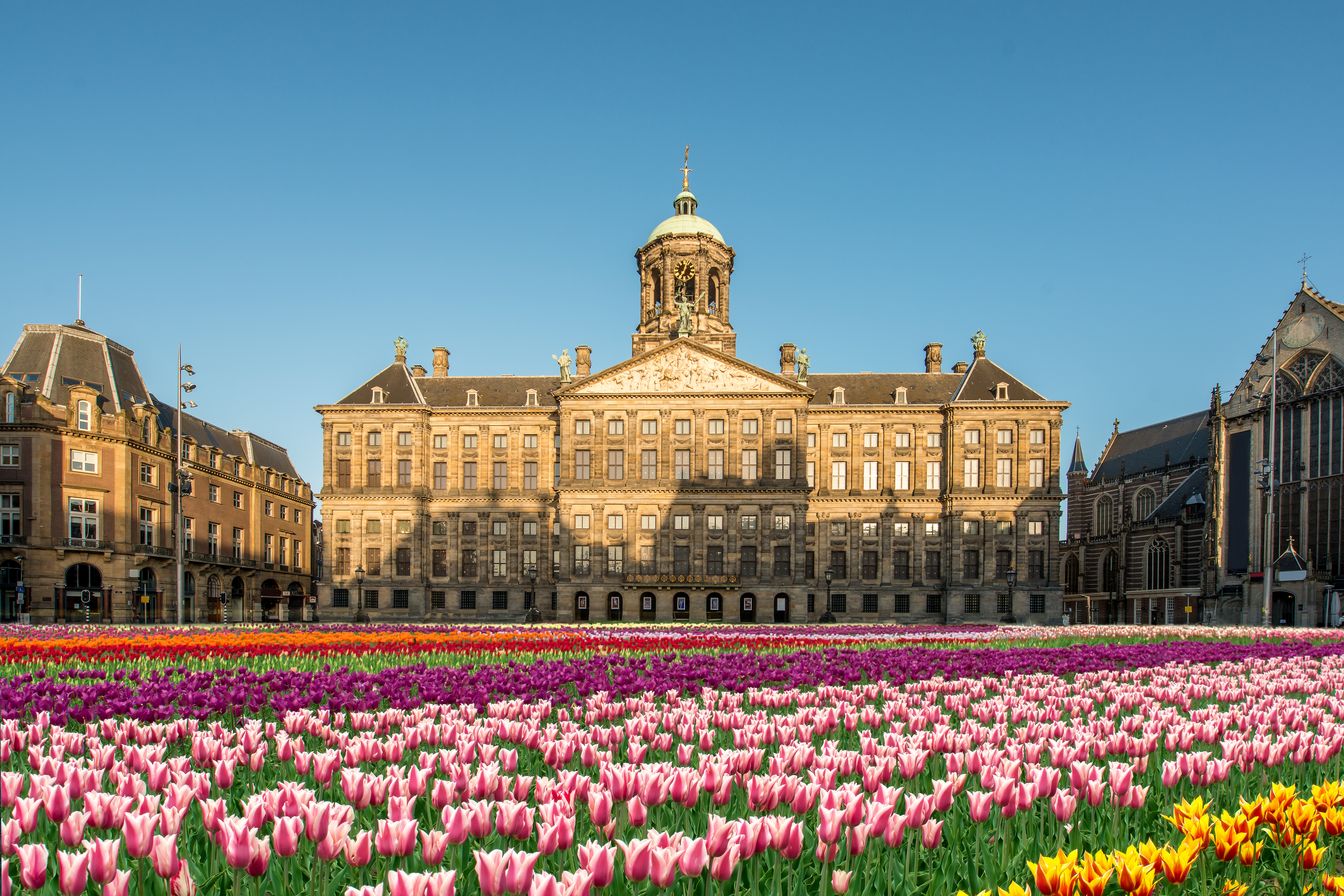 Forårsblomsterne pryder Dam Square foran det kongelige palads i Amsterdam