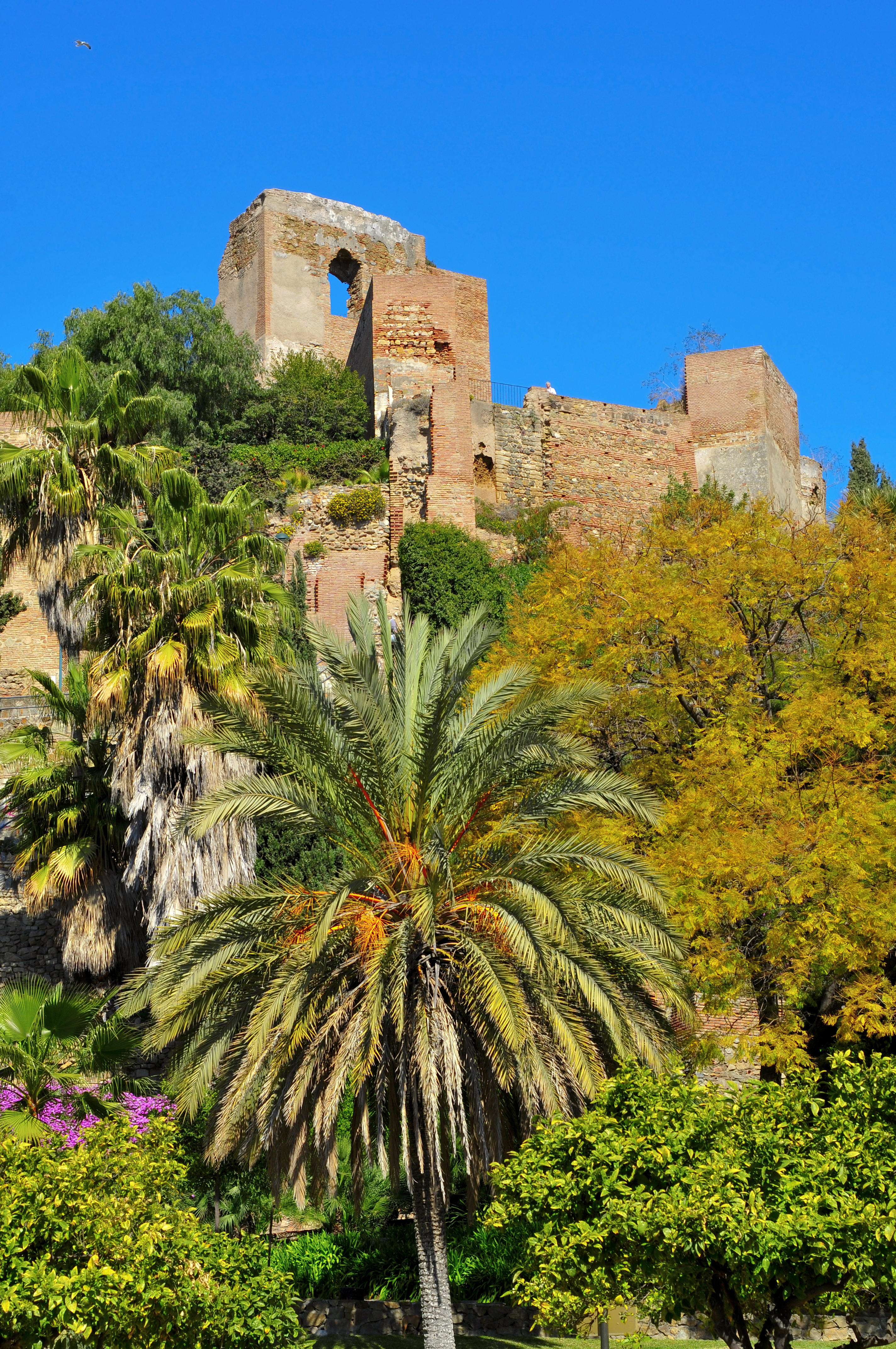 Andalusisk Alcazaba citadel med palmetræer og middelalderlige ruiner i Malaga