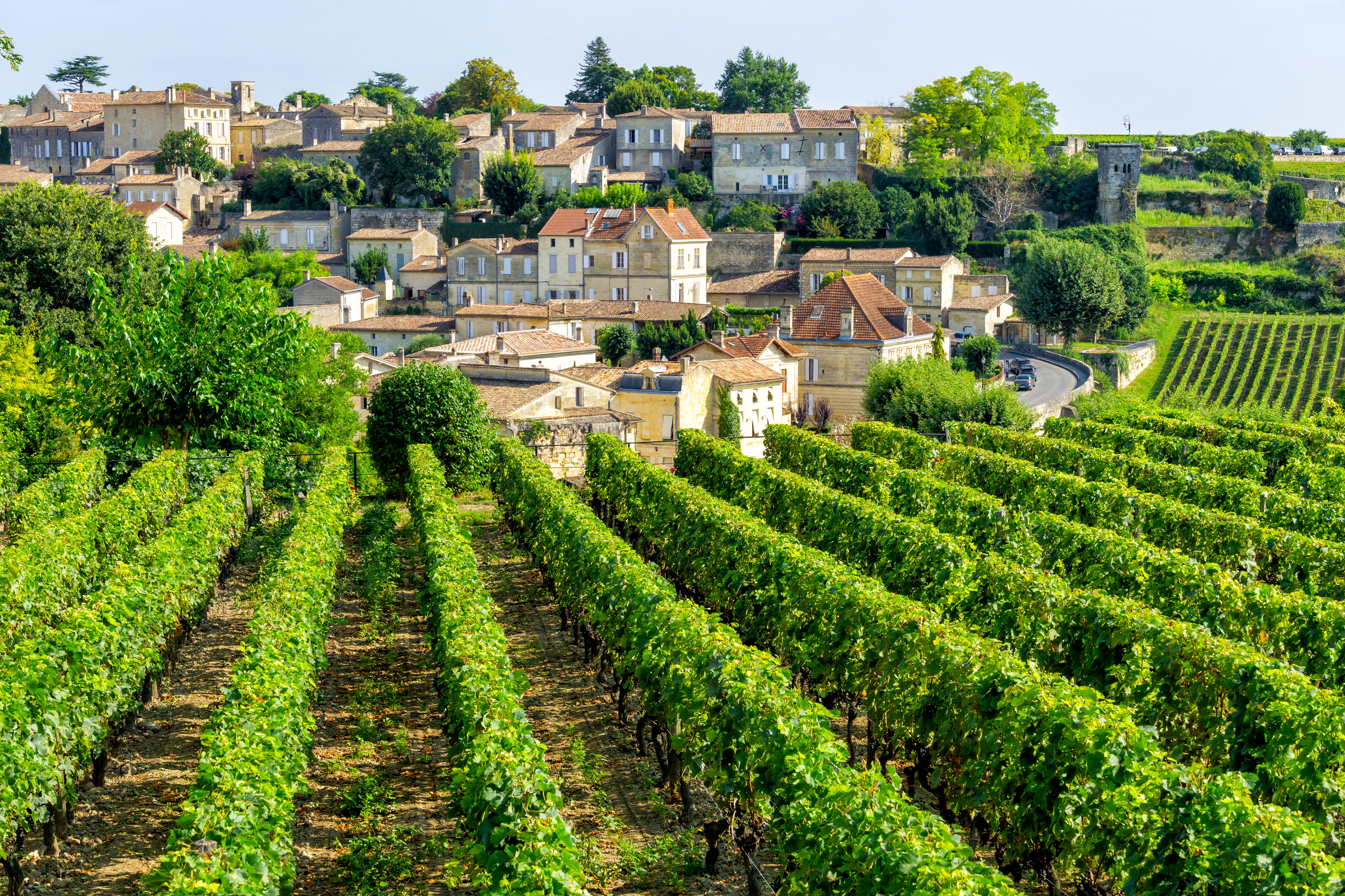 Panoramaudsigt over Saint-Emilion med middelalderlig arkitektur og grønne vinmarker