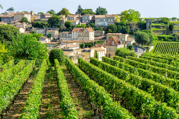 Panoramaudsigt over Saint-Emilion med middelalderlig arkitektur og grønne vinmarker