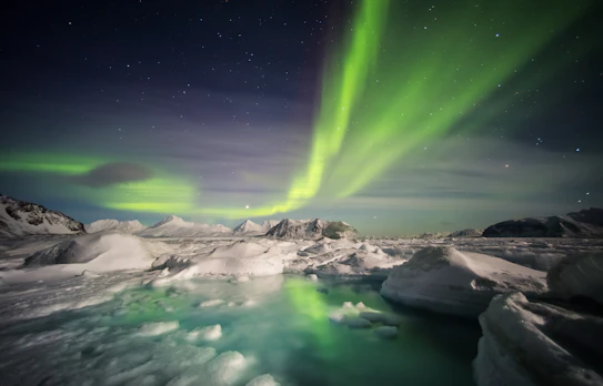 Fantastiske nordlys i grønne og violette toner over det snedækkede arktiske landskab ved Svalbard om vinteren