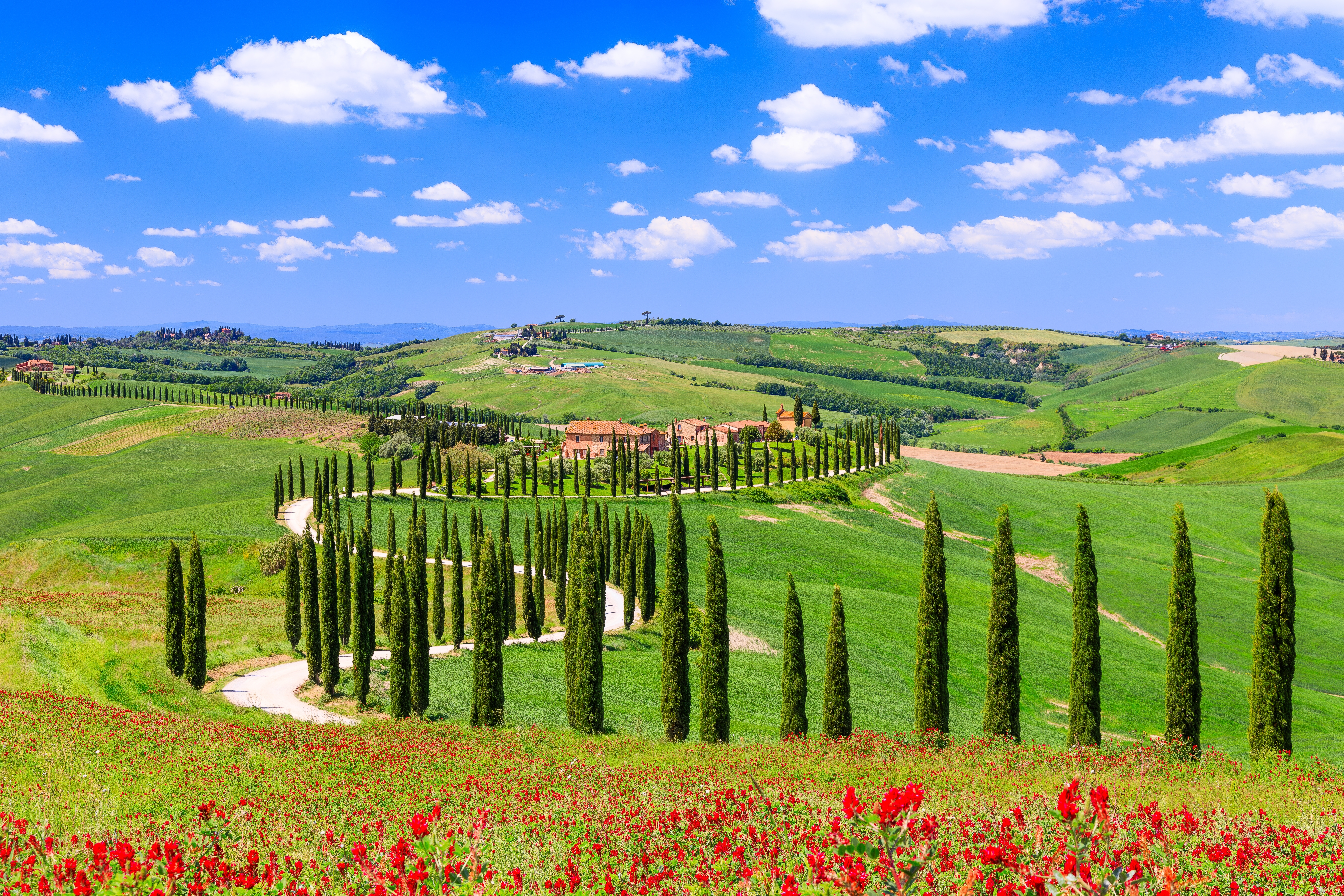 asciano-toscana-landlig-idyl-bakker-cyprestrae