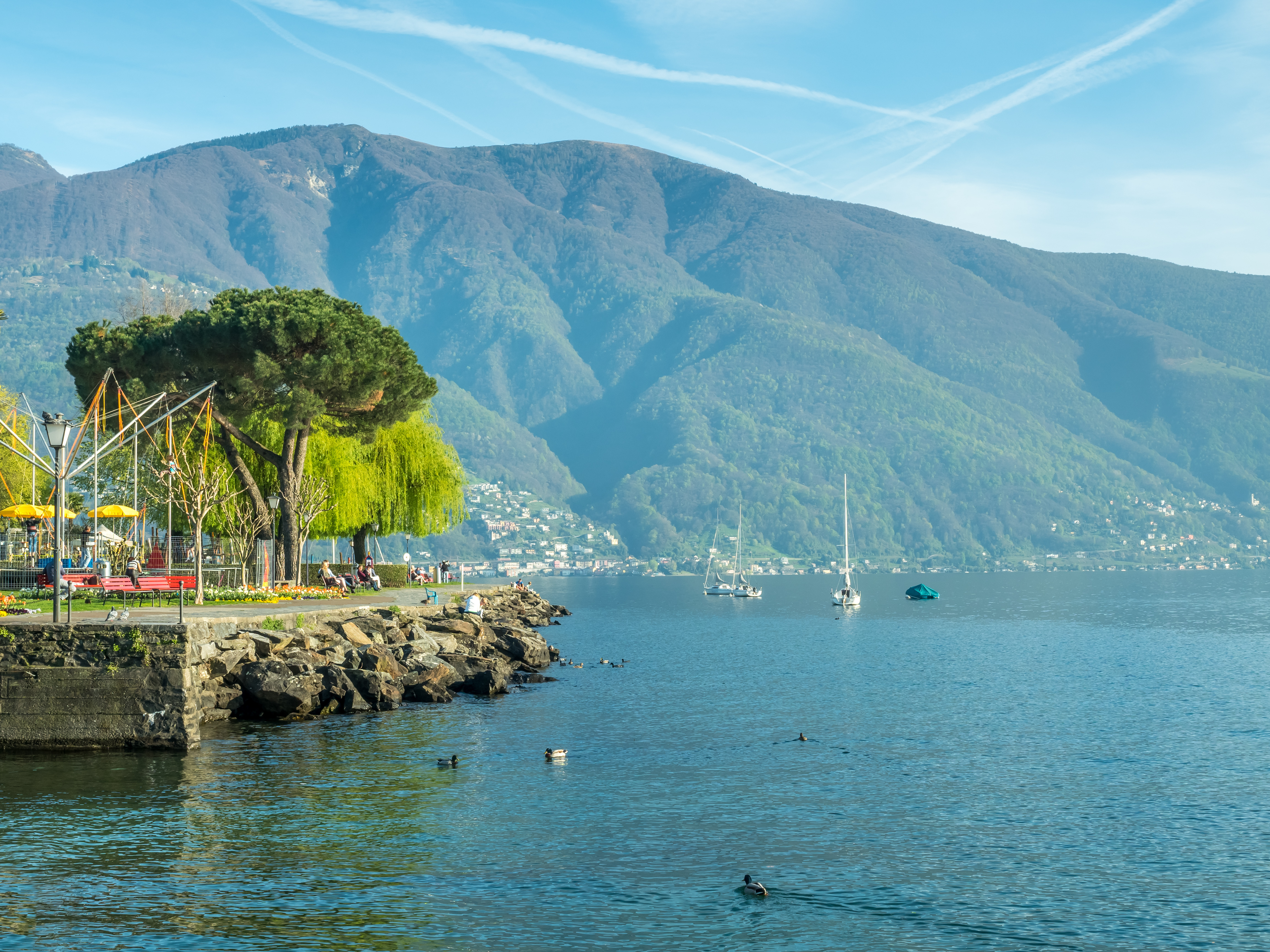 Pittoresk alpesø med sejlbåde og bjergkæde i Ascona, Schweiz