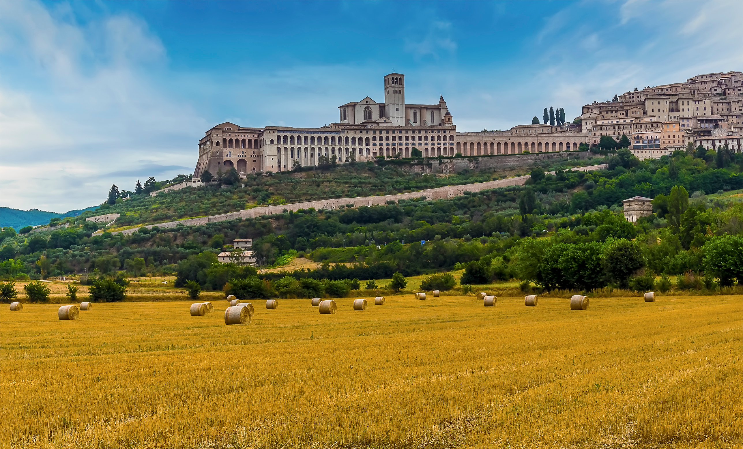 Historiske Assisi med Sankt Franciskus kirke og gyldne marker i Italien