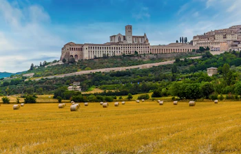 Historiske Assisi med Sankt Franciskus kirke og gyldne marker i Italien