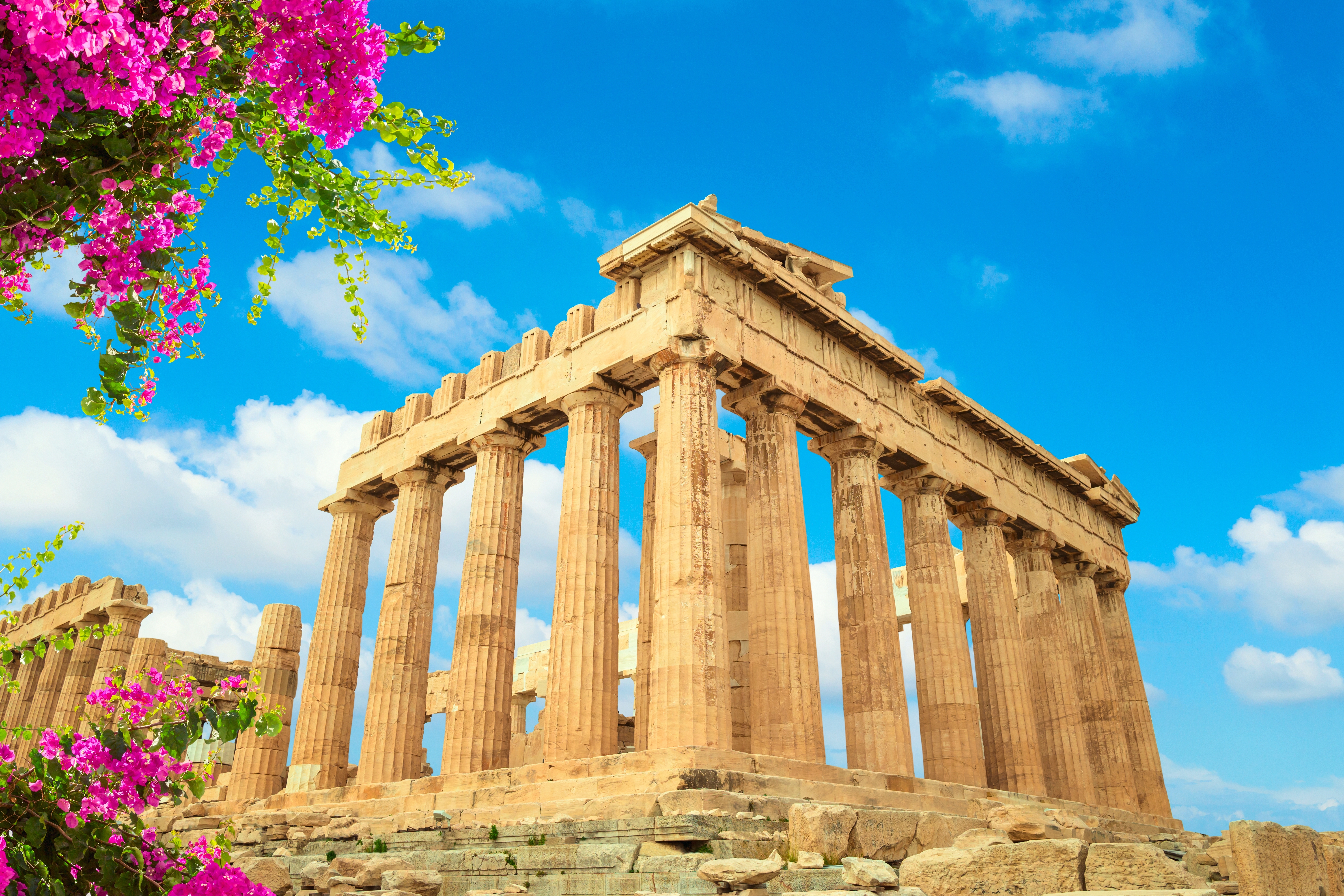 Det berømte Parthenon tempel omgivet af pink blomster på Akropolis i Athen, Grækenland