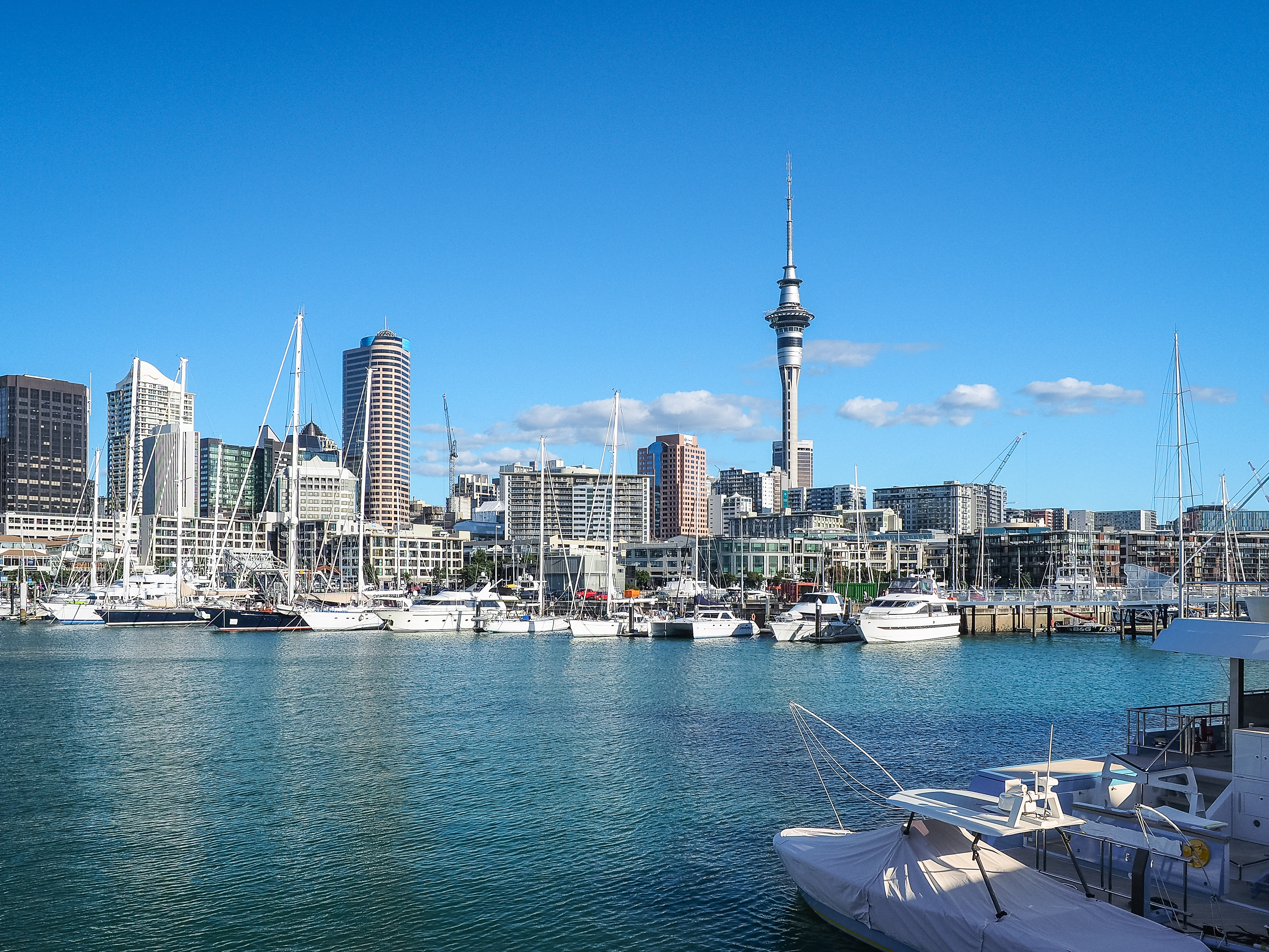 Auckland marina med Sky Tower og byens skyline på Nordøen i New Zealand, solrig sommerdag