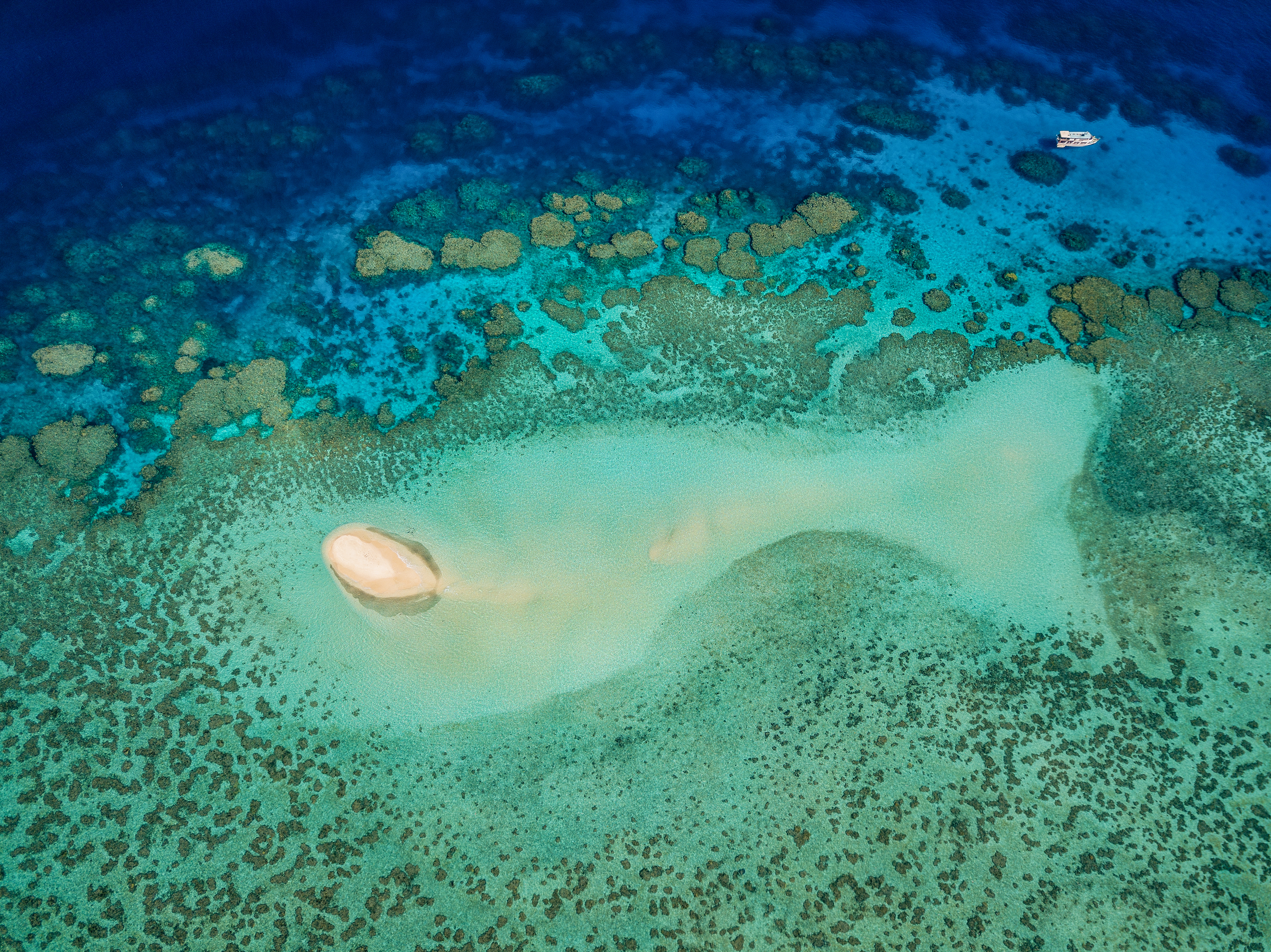 Droenefoto af farverige koralformationer i krystalklart vand ved Great Barrier Reef