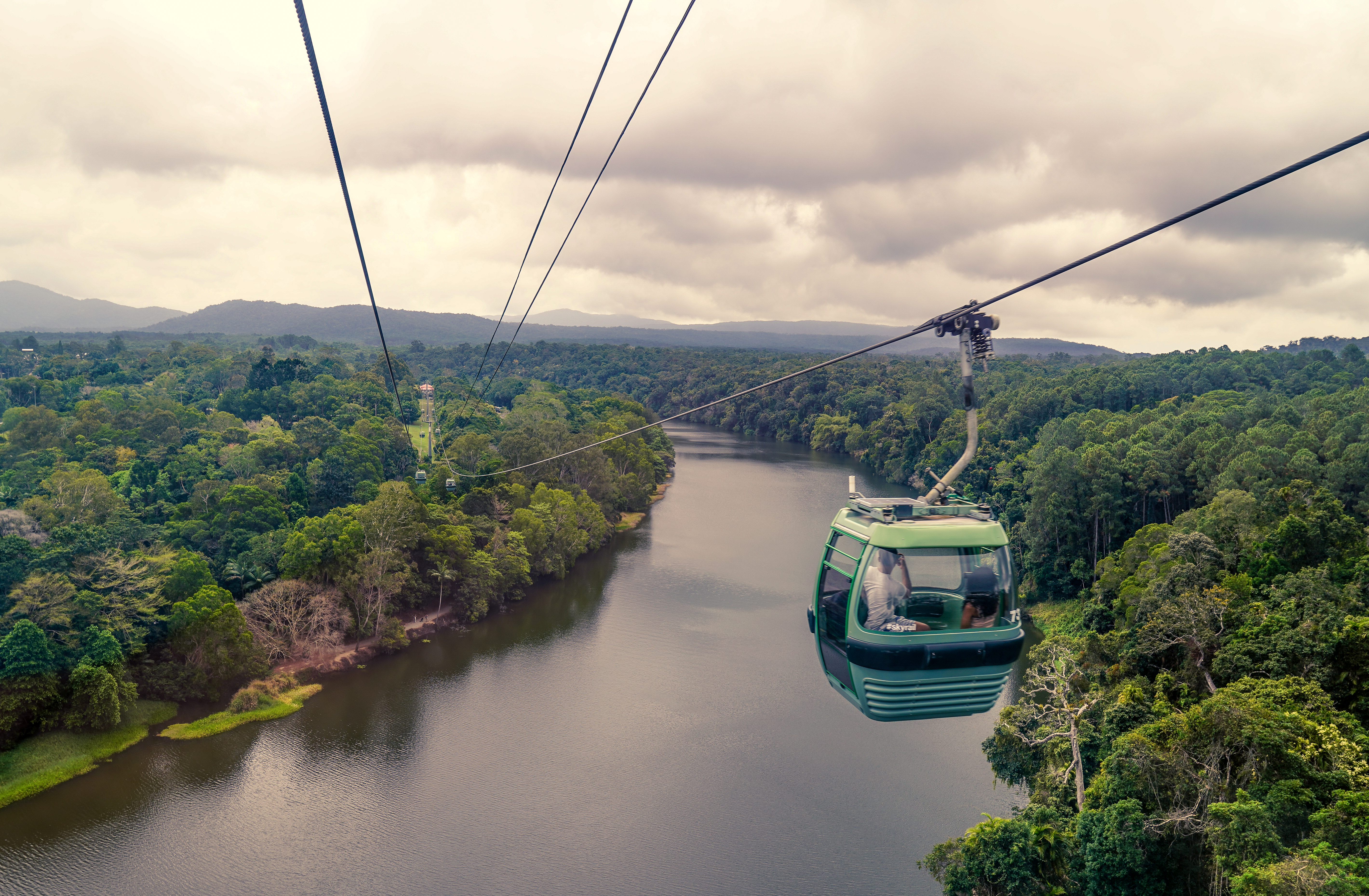 Kabelbane rejse over den gamle Daintree regnskov i Queensland Australien