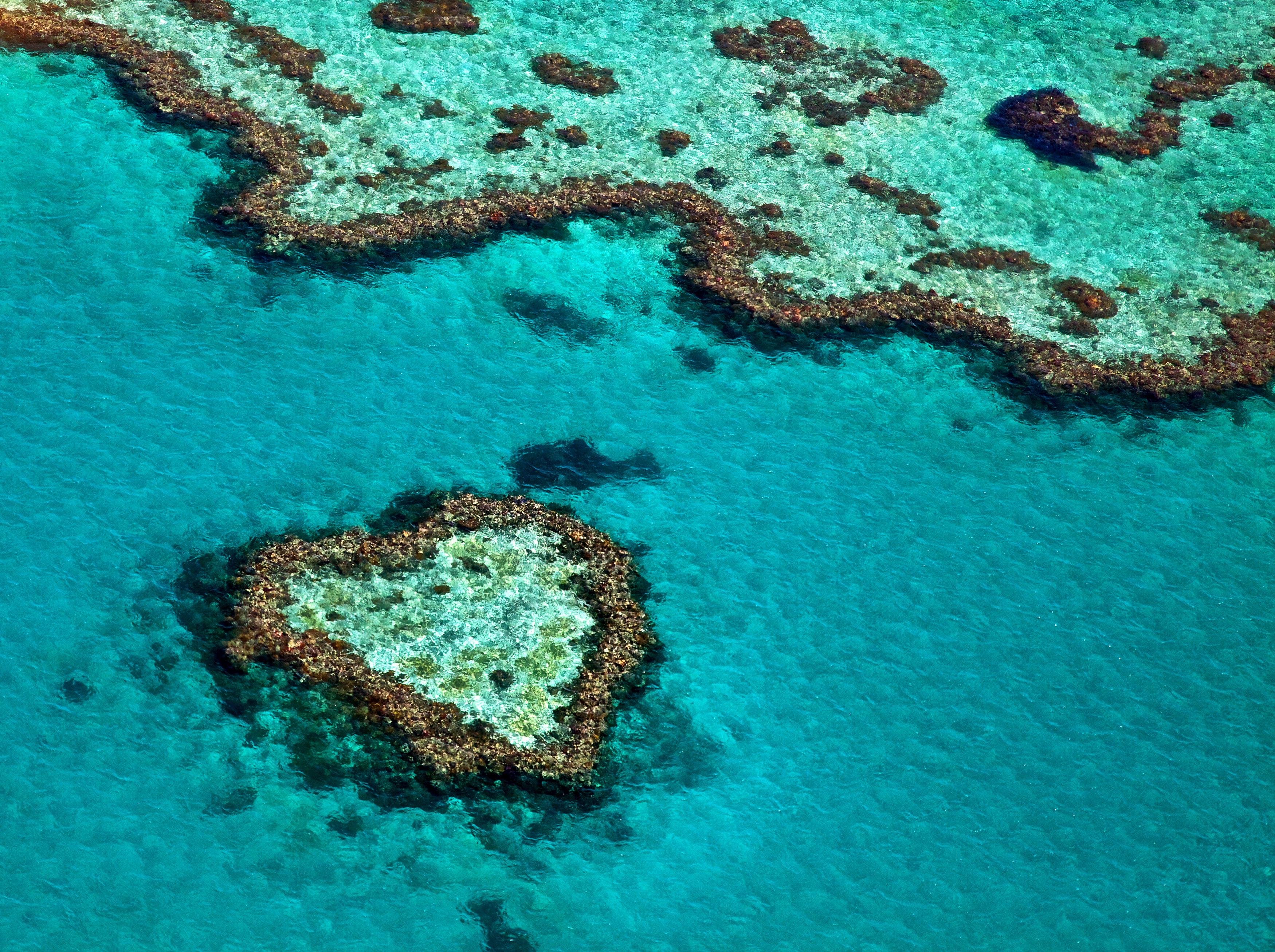 Ikonisk Heart Reef koralrev i Whitsundays, Great Barrier Reef Australien