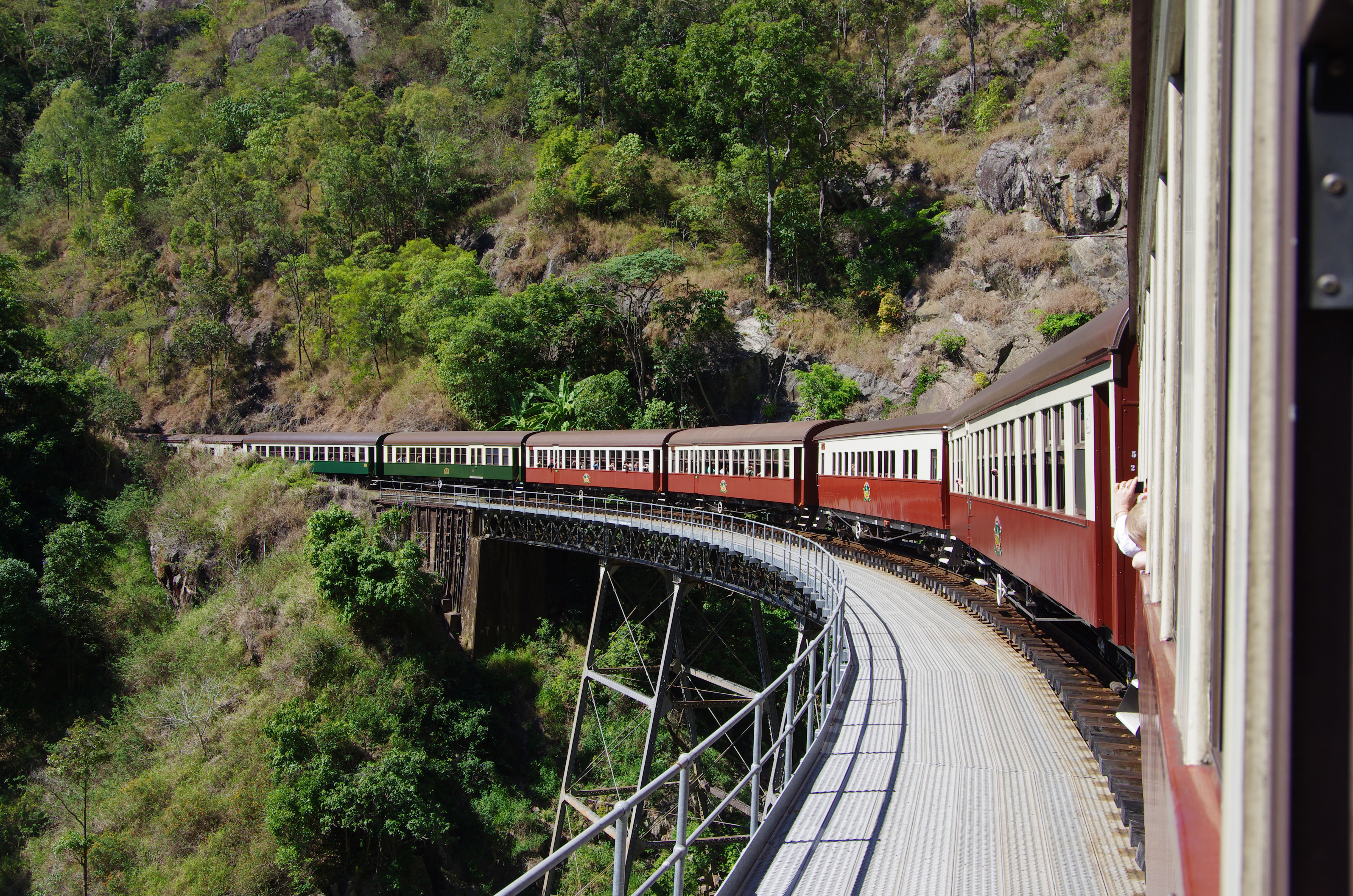 Malerisk udsigt til Kuranda Scenic Railway, der snor sig gennem den tætte regnskov i Queensland, en populær turistattraktion i Australien