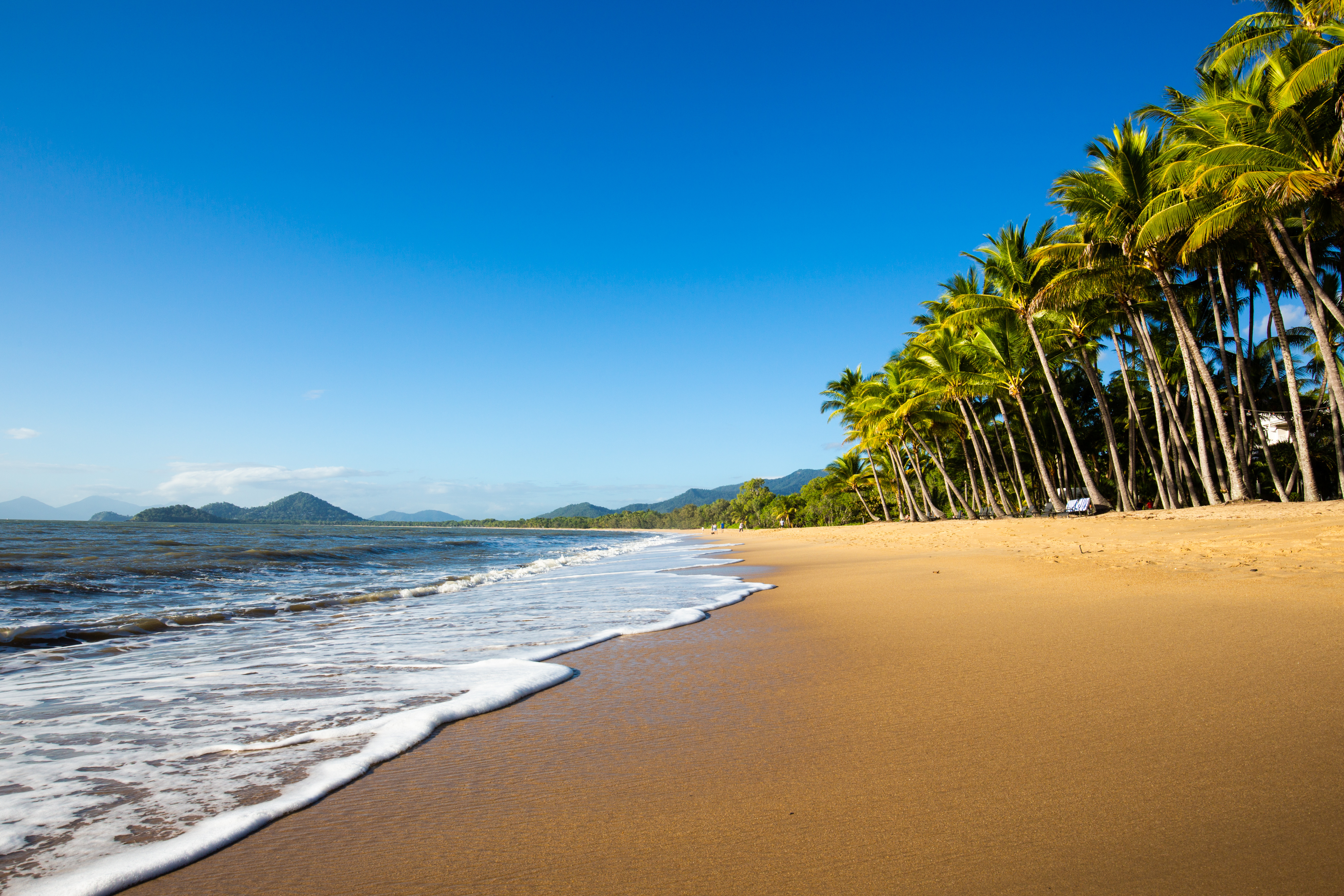Solrig dag på Palm Cove Beach i Queensland, Australien, med turkisblåt hav, bølger der skyller ind over det gyldne sand og høje palmetræer