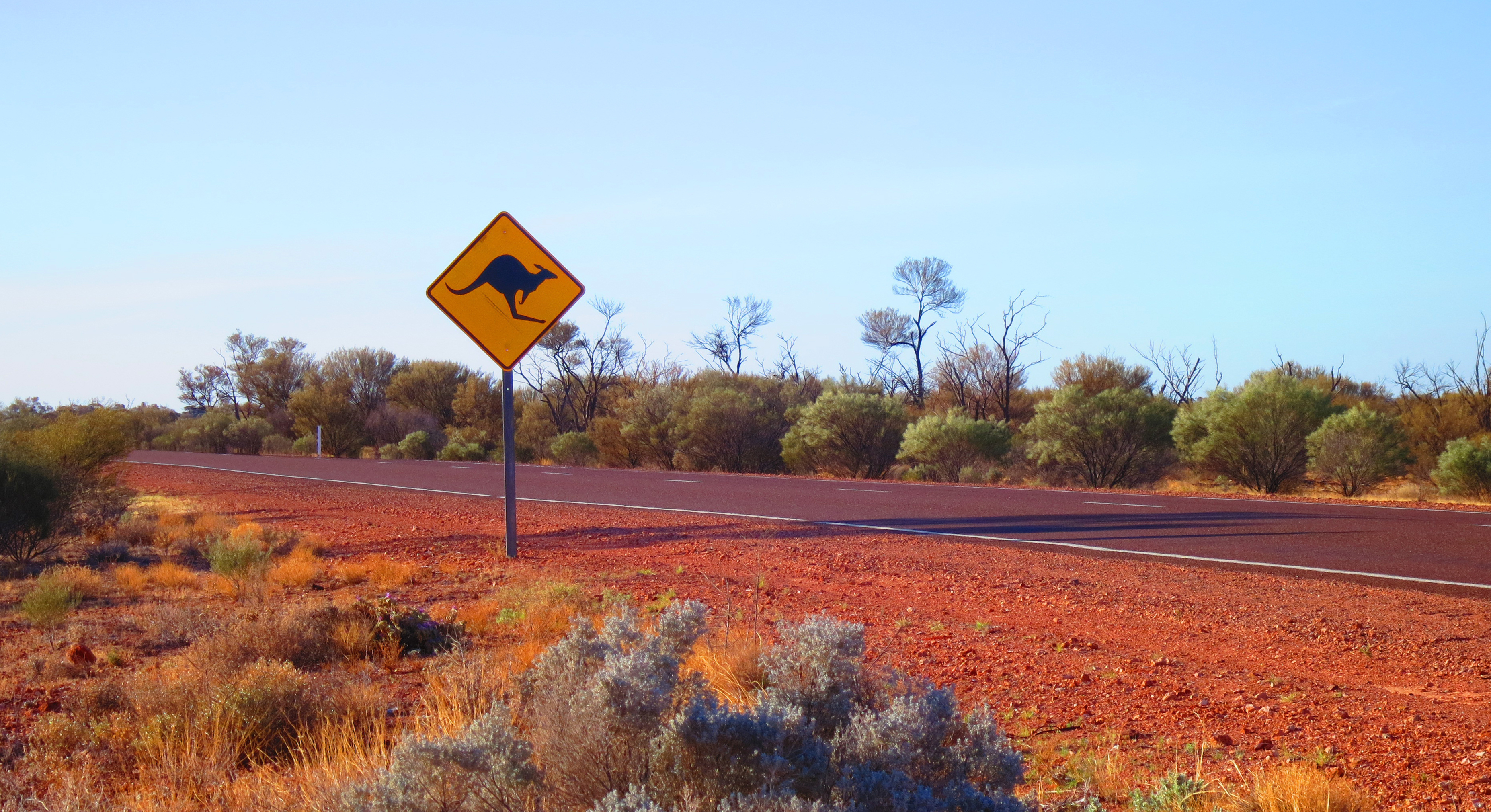Ikonisk gult kænguru skilt langs øde Stuart Highway i det australske outback