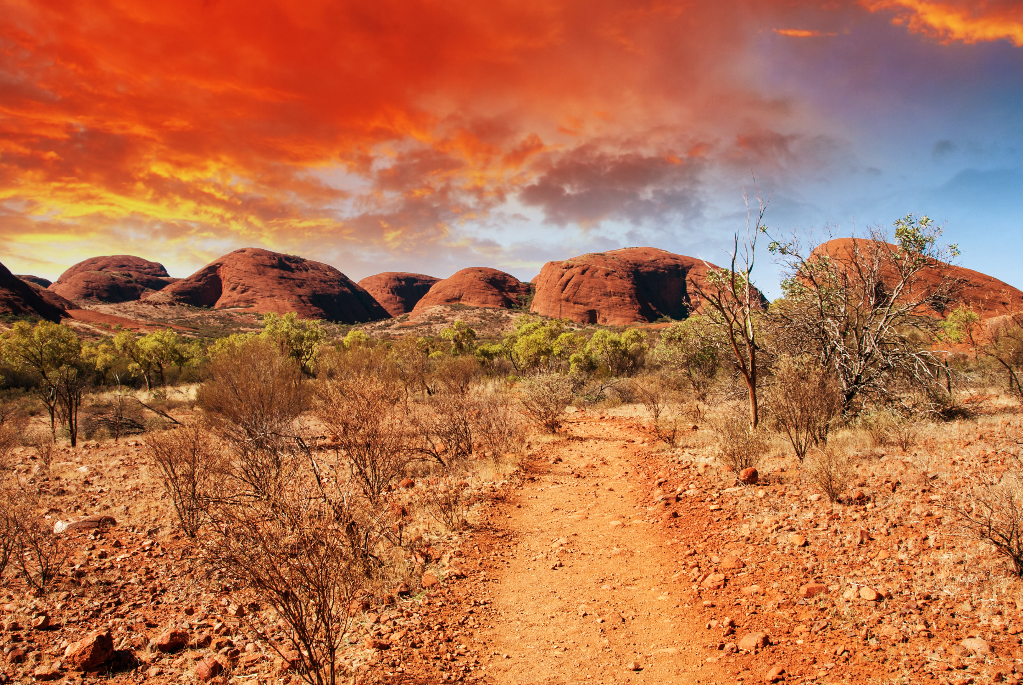 Betagende solnedgang over de ikoniske røde klippeformationer i Australiens outback med gylden himmel og ørkenlandskab