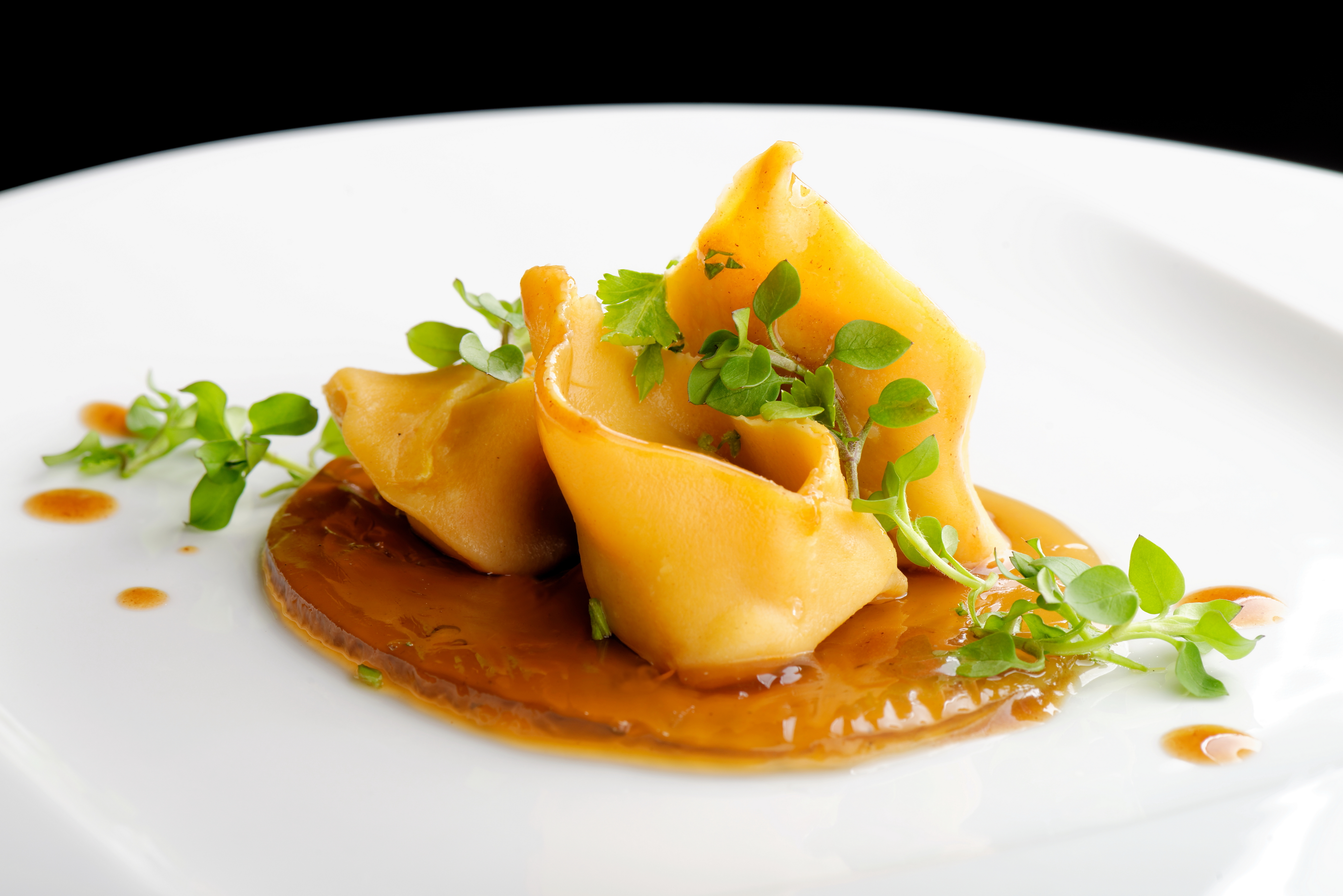 Autentisk italiensk ravioli pasta med friske urter og sauce