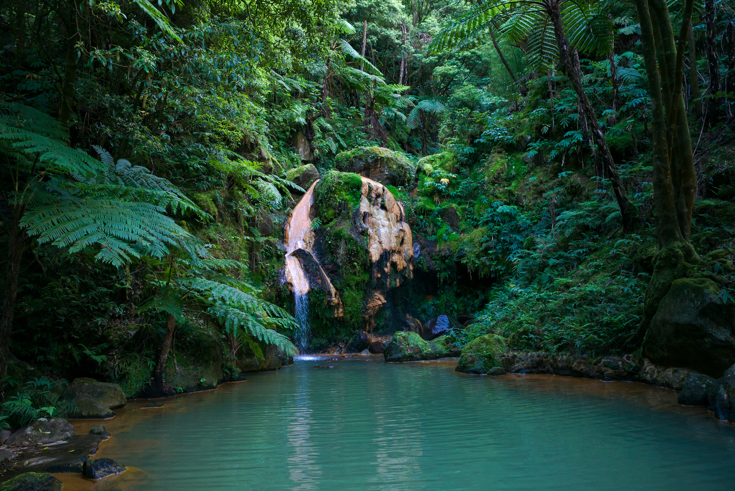 Skjulte naturlige pools i den frodige regnskov på São Miguel, Azorerne