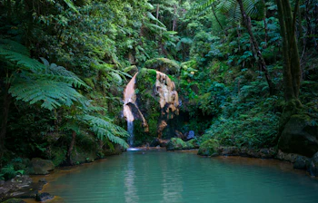 Skjulte naturlige pools i den frodige regnskov på São Miguel, Azorerne