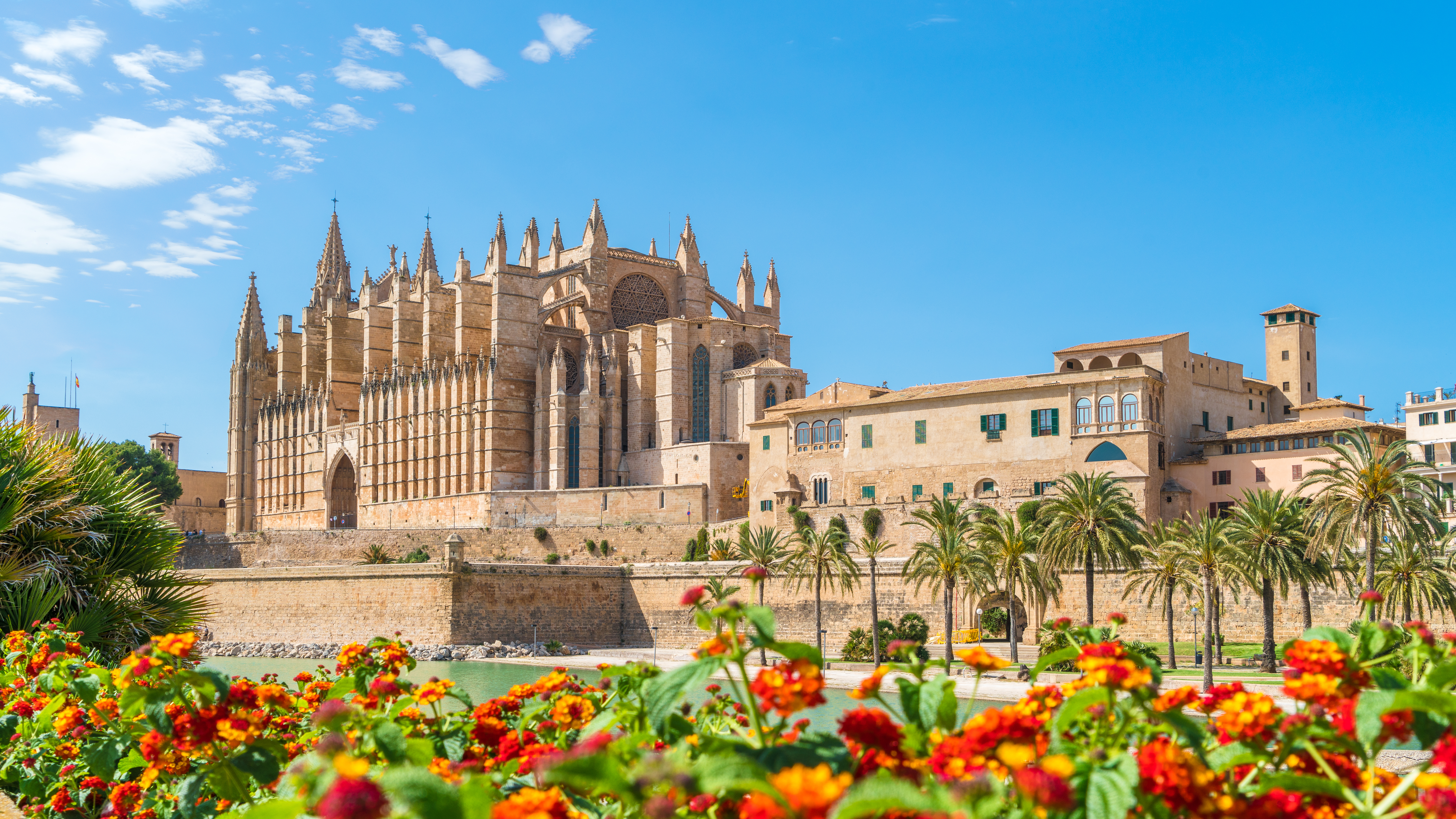 La Seu katedralen på Mallorca med palmer og blomster under middelhavs himmel
