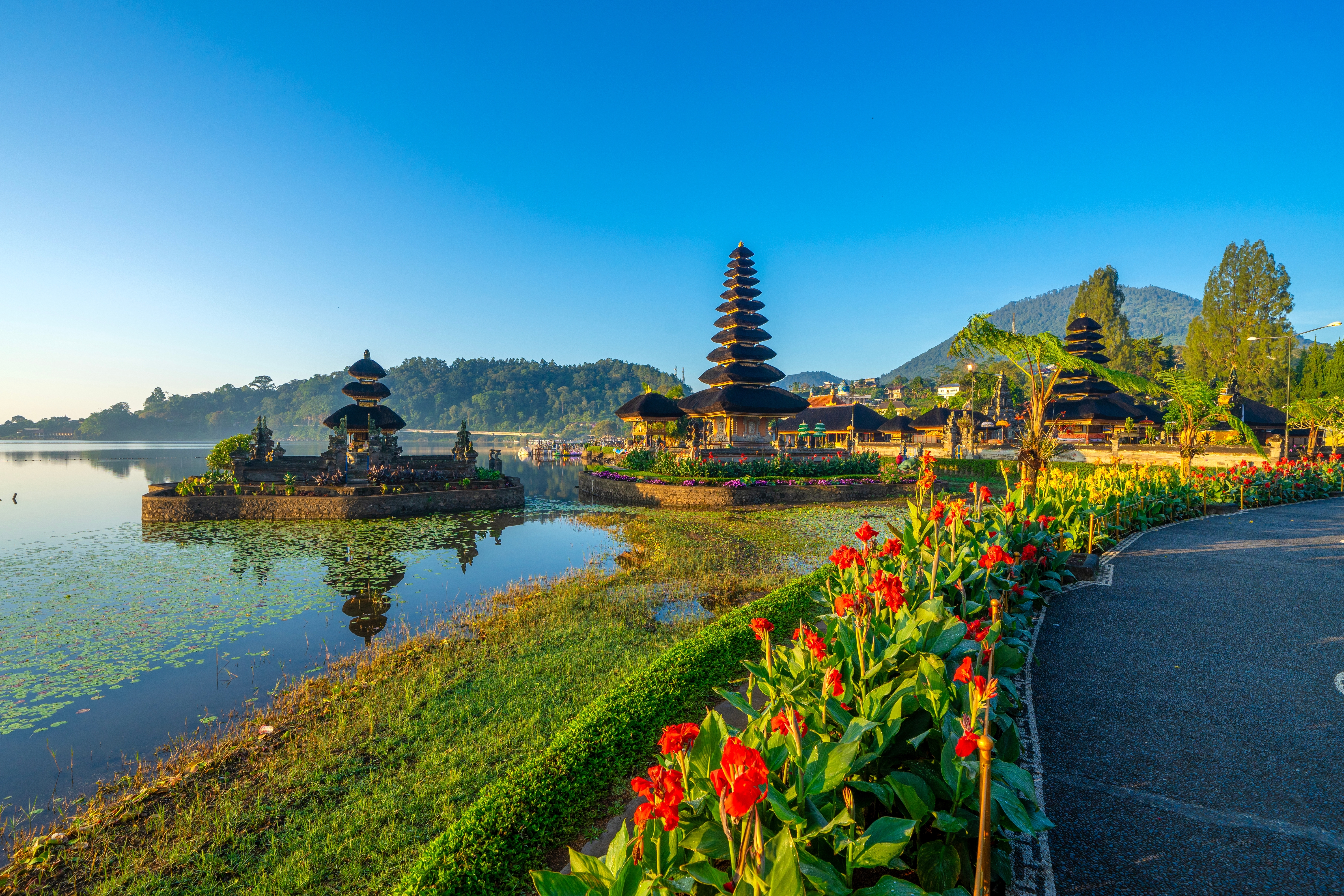 Ikonisk Ulun Danu Bratan tempel ved solopgang i Bedugul på Bali, Indonesien, med smukke røde blomster og bjerglandskab i baggrunden
