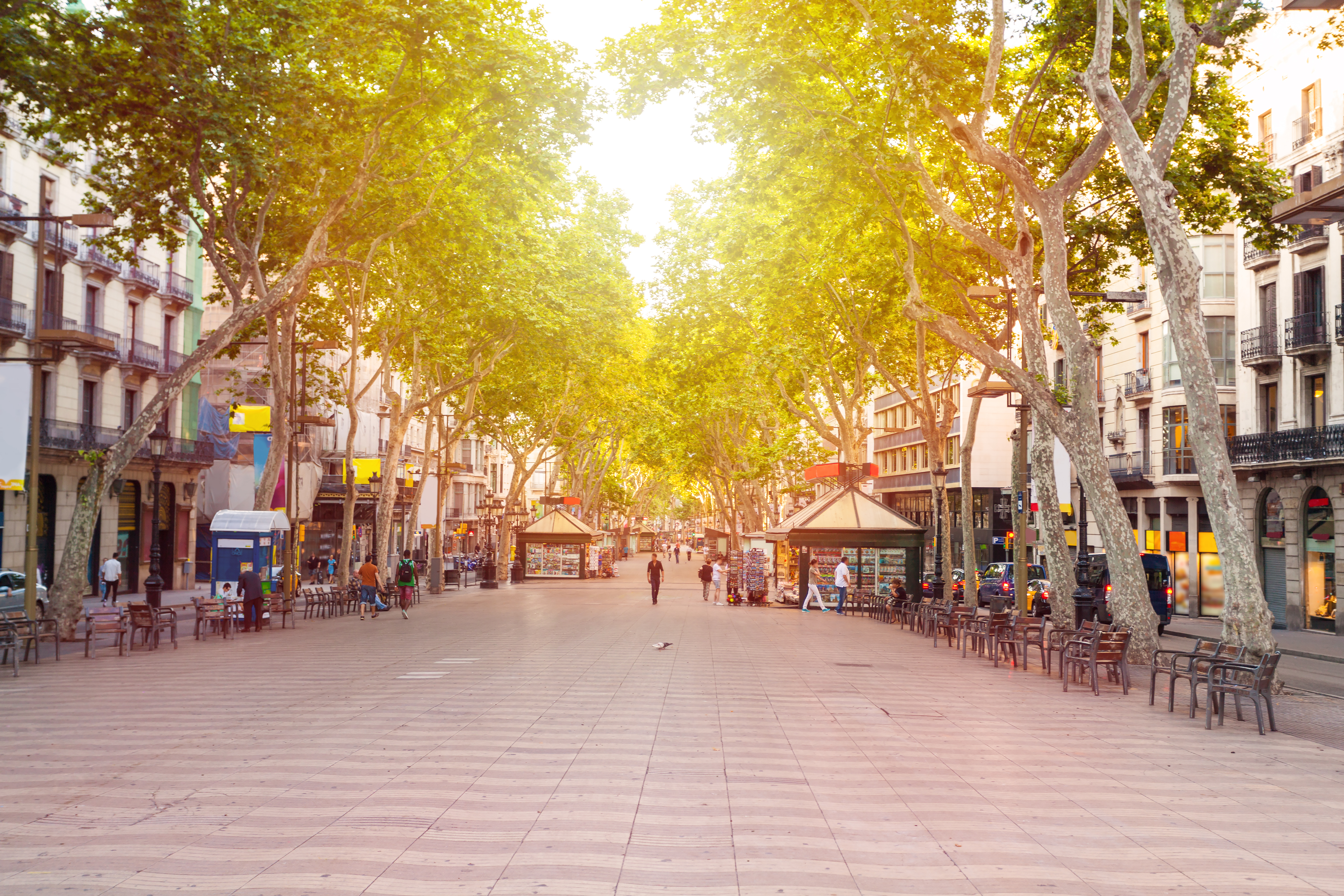Barcelona centrum La Rambla træallé med cafeer og butikker