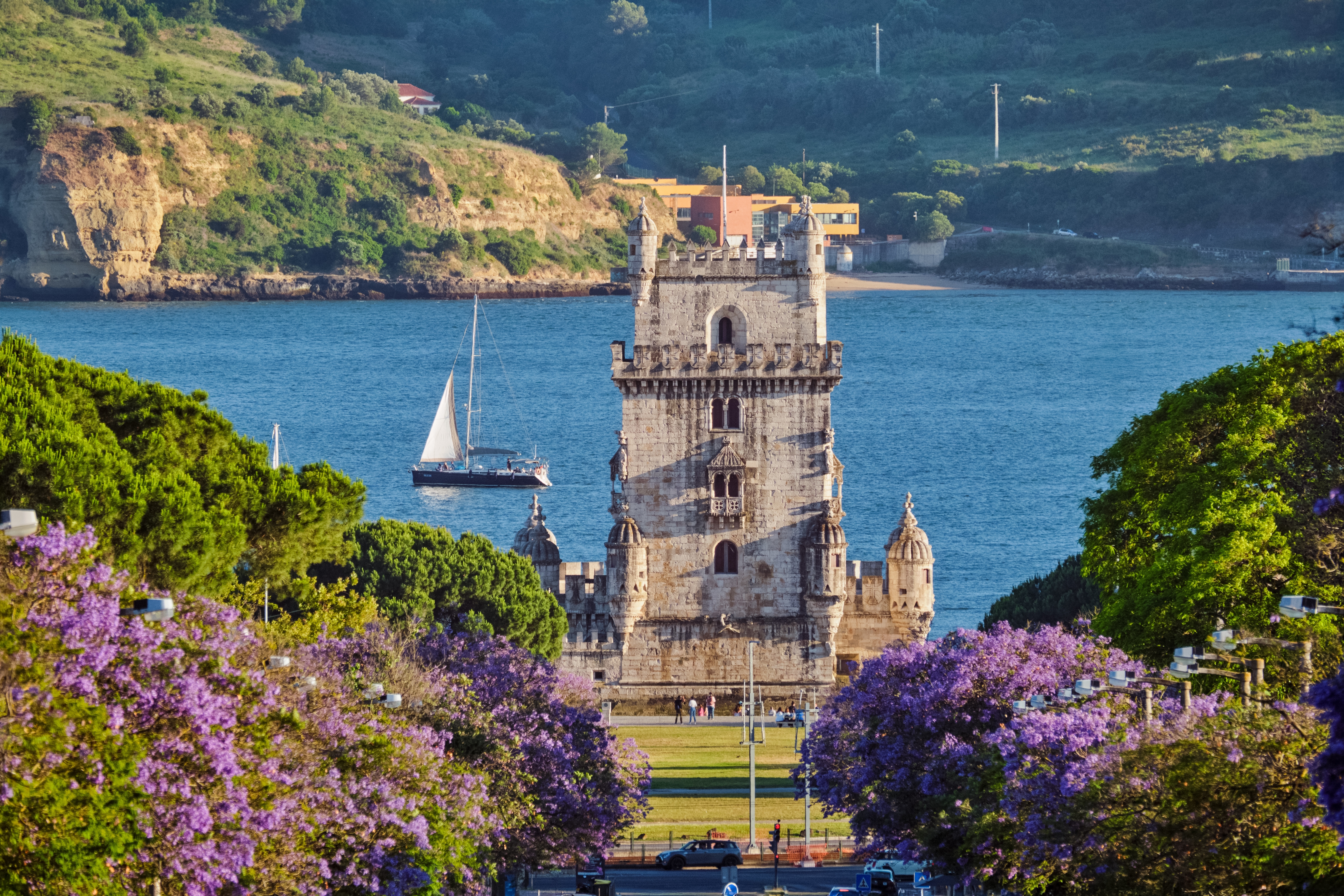 Udsigt til det ikoniske Bélem-tårn i Lissabon omgivet af lilla blomstrende jacarandatræer og den blå Tejo-flod om foråret