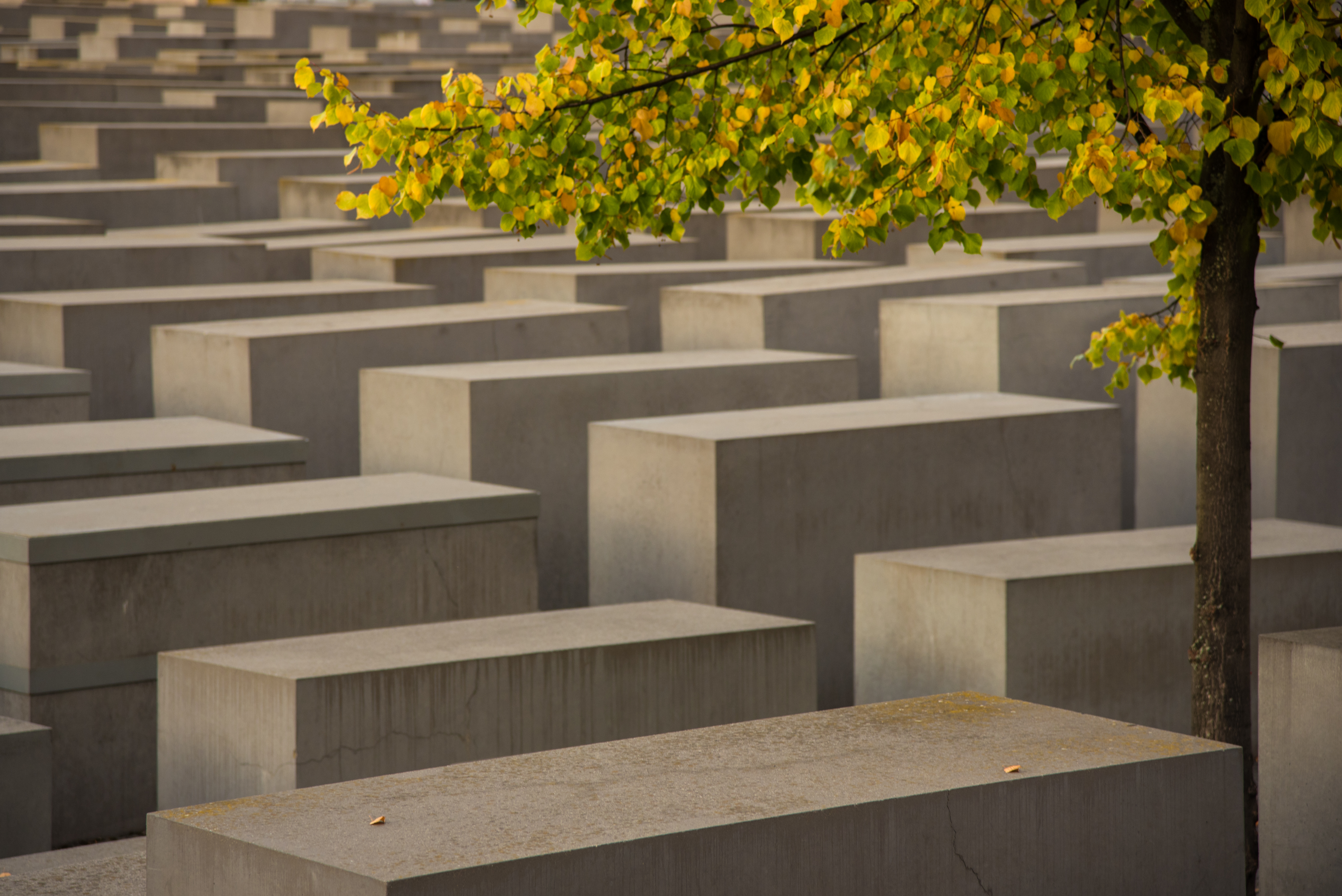 Joedisk Holocaust mindemaerke i Berlin med graa stenblokke og efteraarstrae