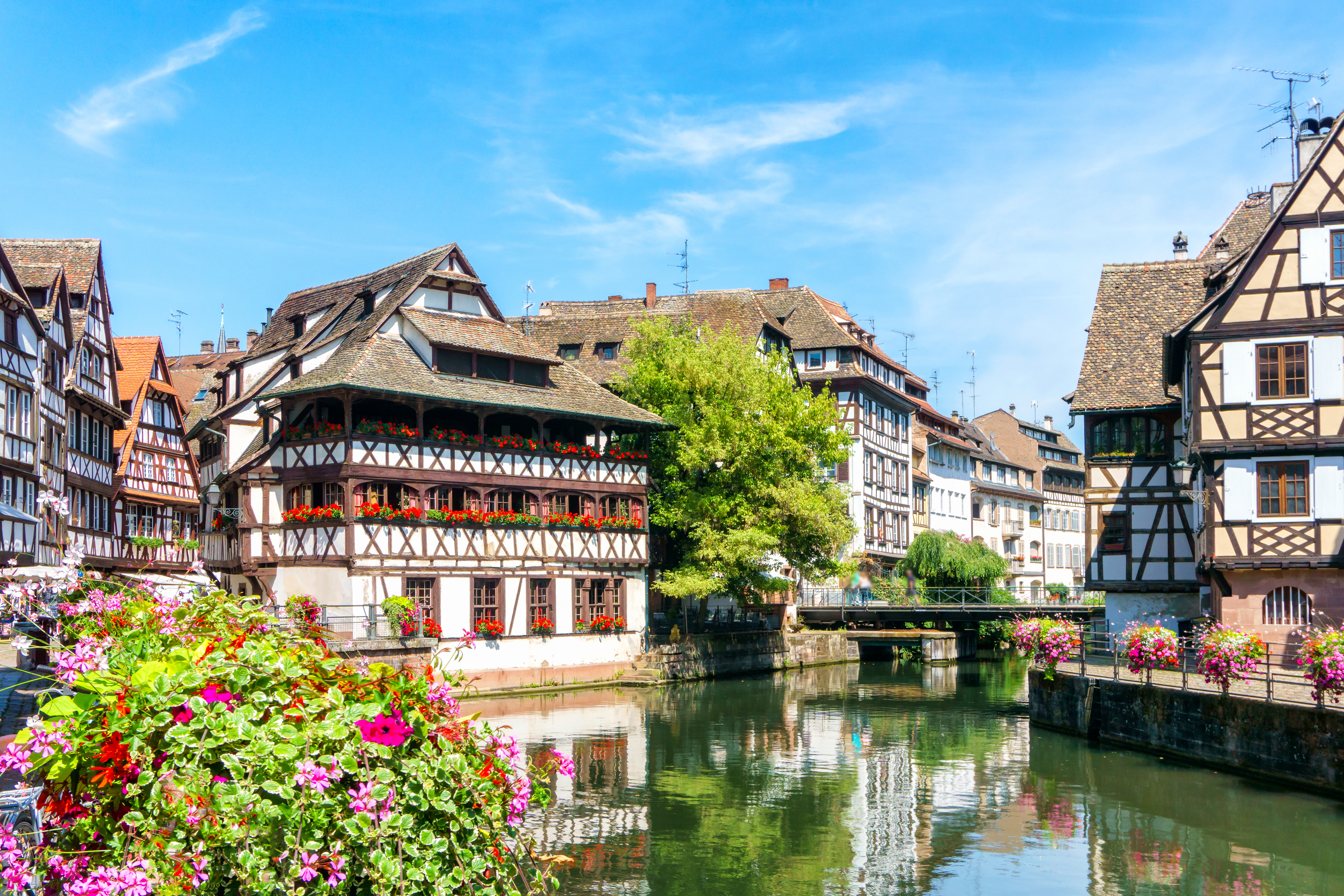 Traditionel bindingsværk arkitektur langs kanalen i Strasbourg med blomstrende haver og refleksioner
