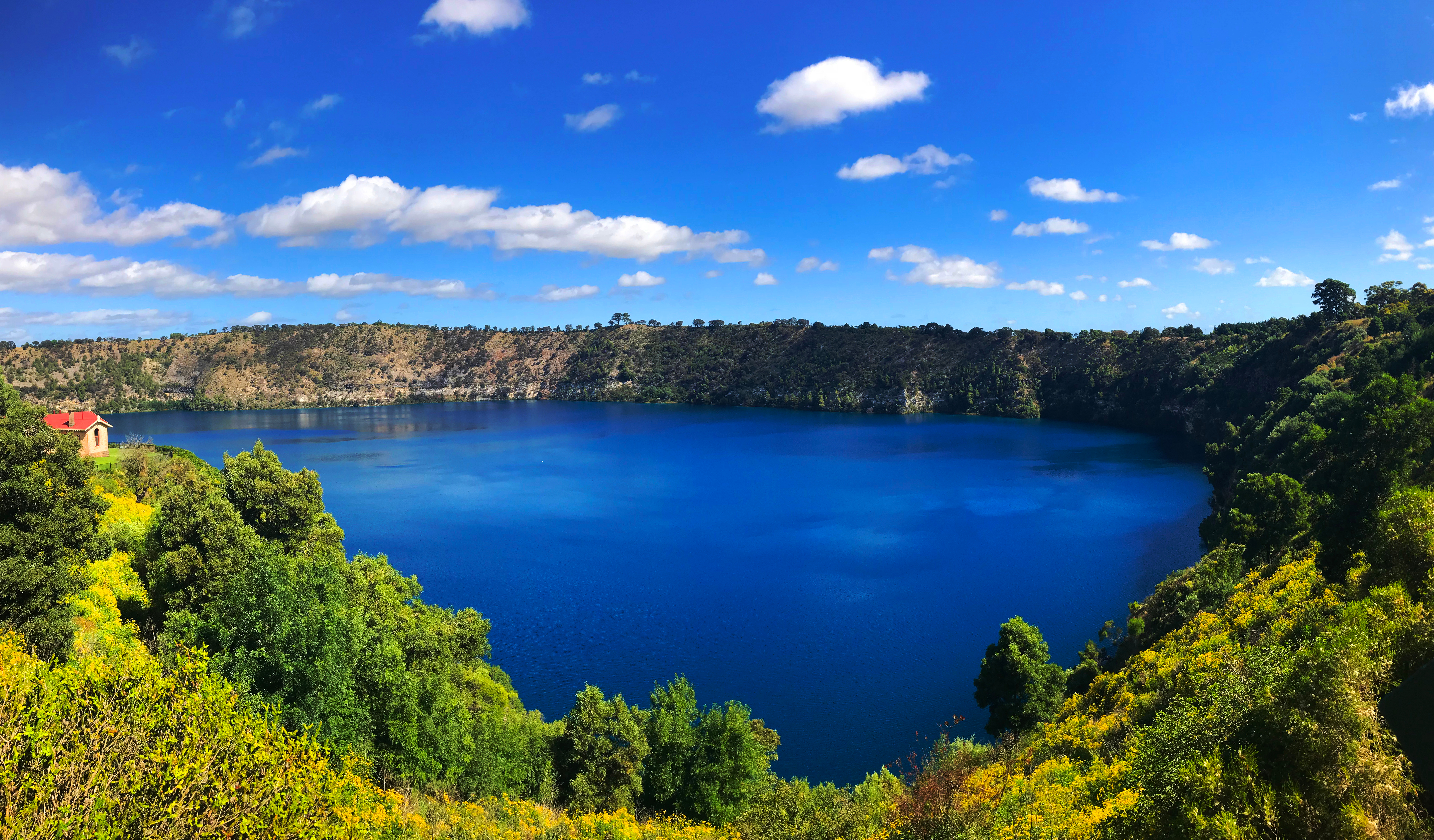 Den berømte blå sø i Mount Gambier omgivet af naturskønne omgivelser