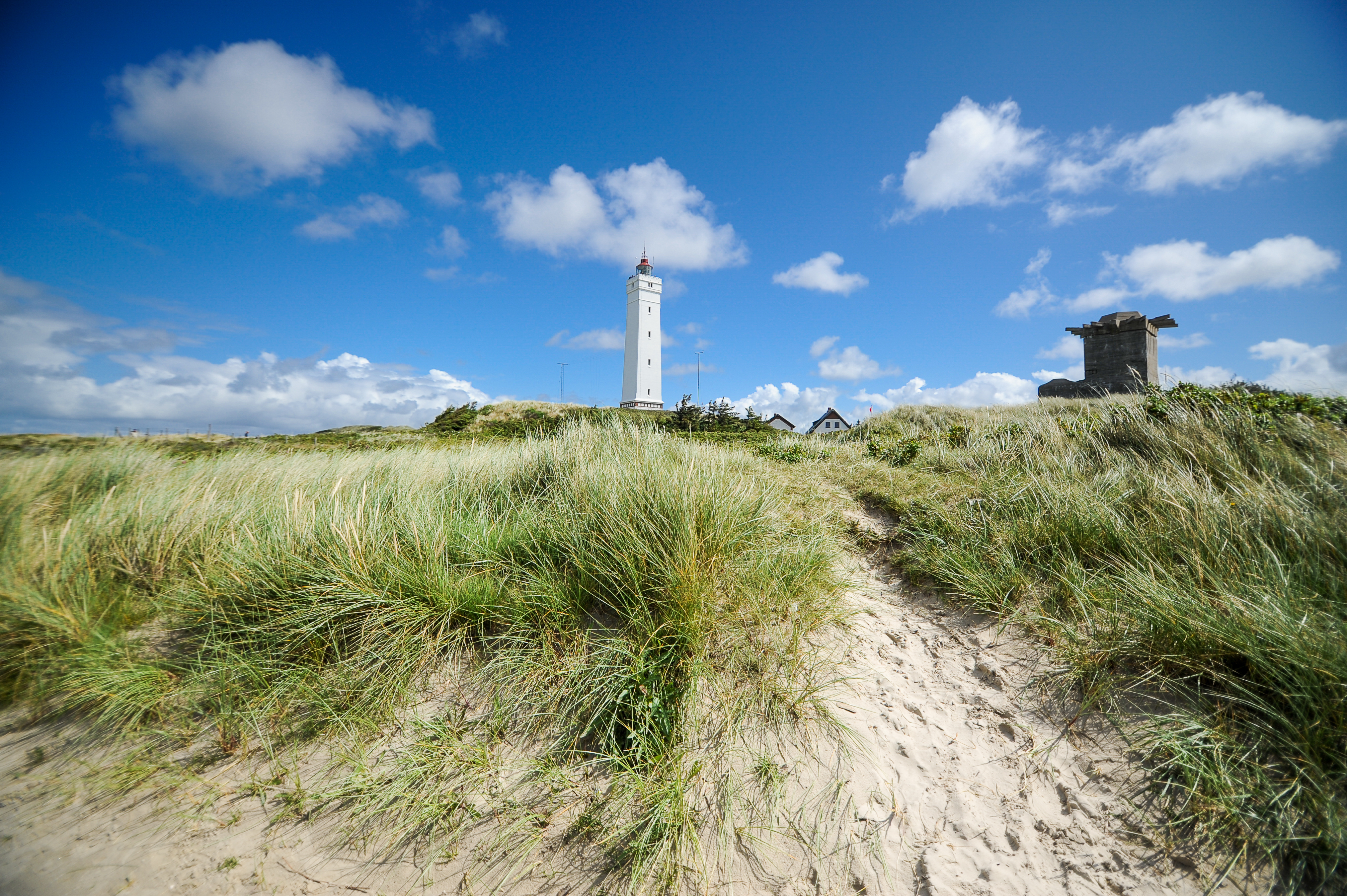 Det charmerende hvide fyrtårn ved Blåvand strand med bølgende marehalm og en klar blå himmel i Syddanmark